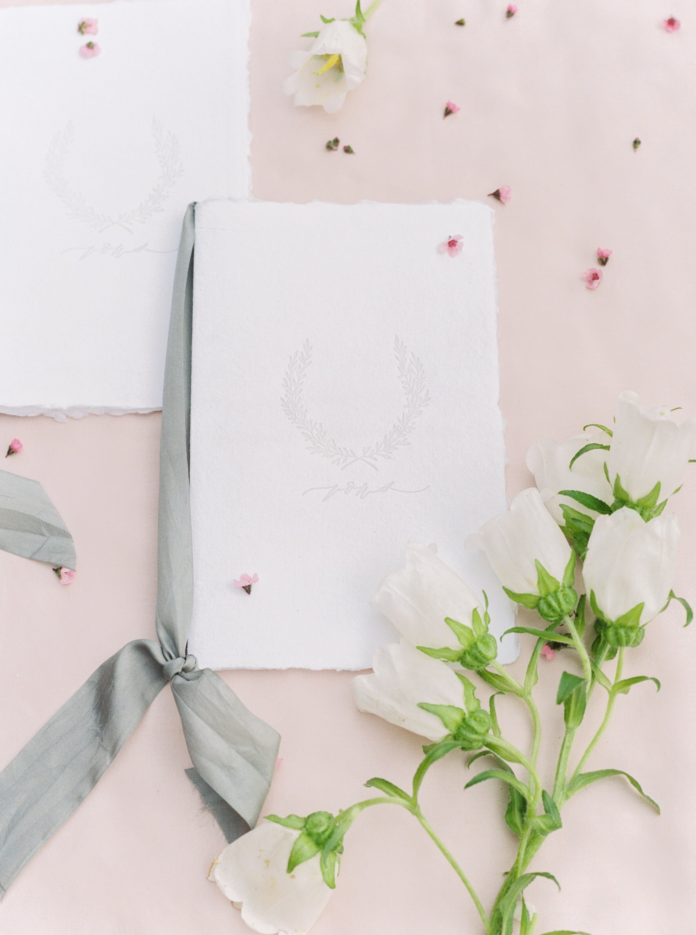 Charlottesville Wedding Photographer_Callie Manion Photography__0037