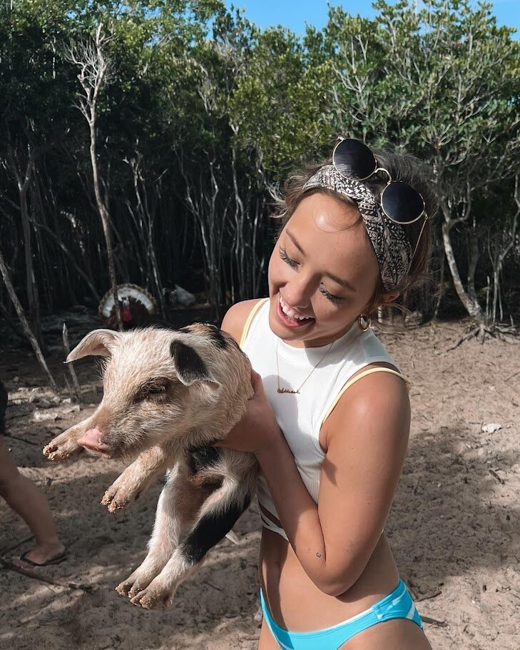 swim with pigs