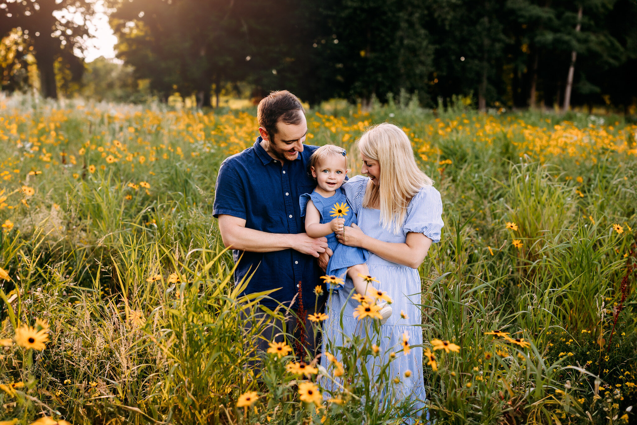 Mother annd father cuddle their daughter in a field of yellow flowers 