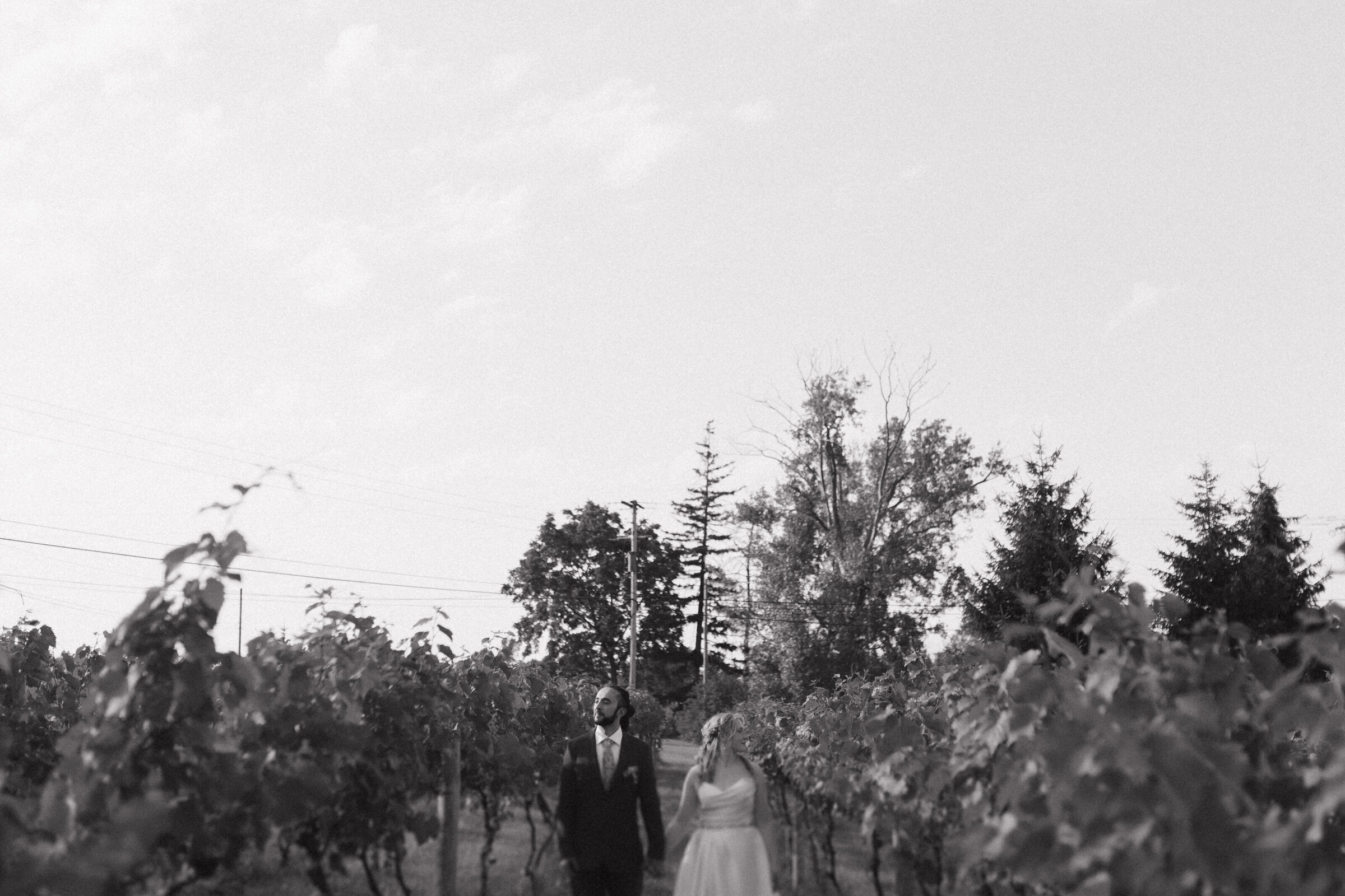 IzzosWhiteBarnWinery-88