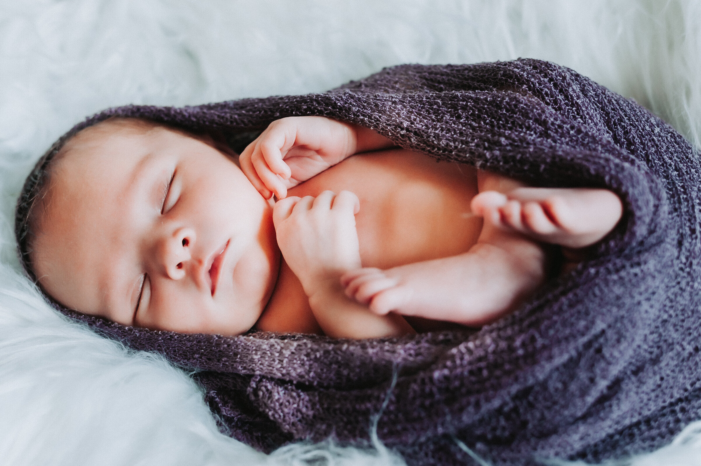 Red Deer Newborn Photographer