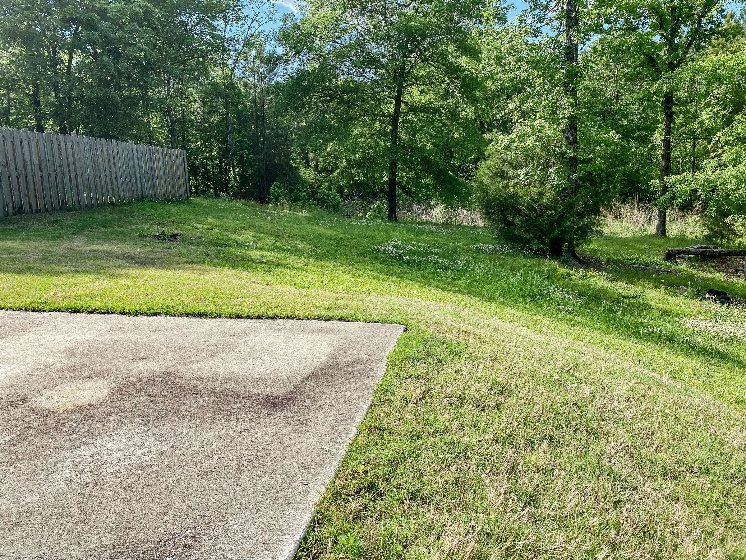 green-trees-and-grass-on-hill-next-to-driveway
