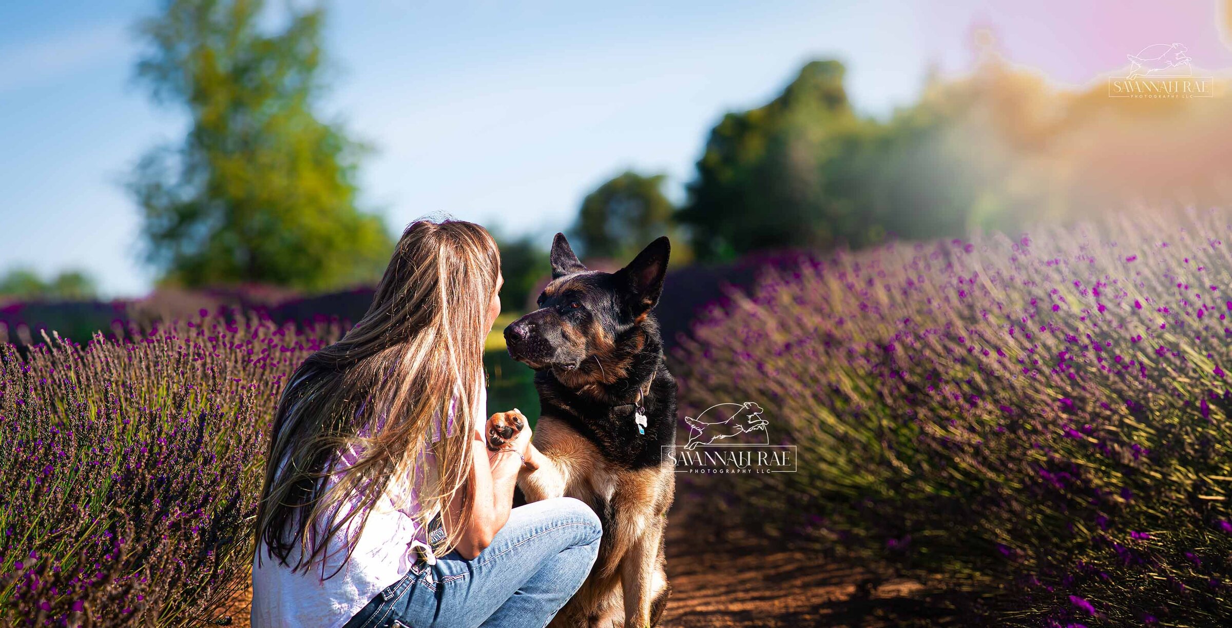 Lavender-4 SMLogo