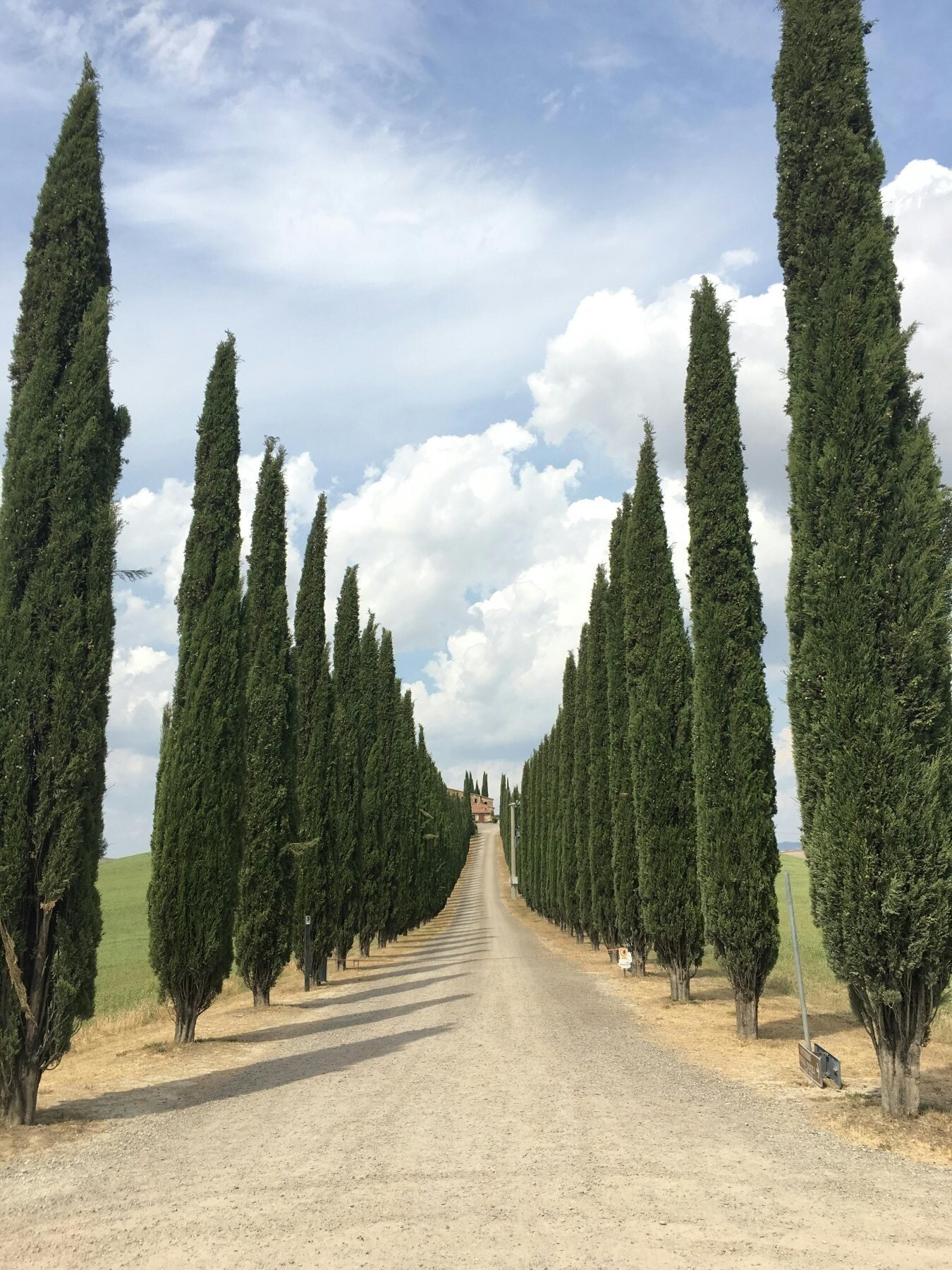 Tuscan driveway with trees