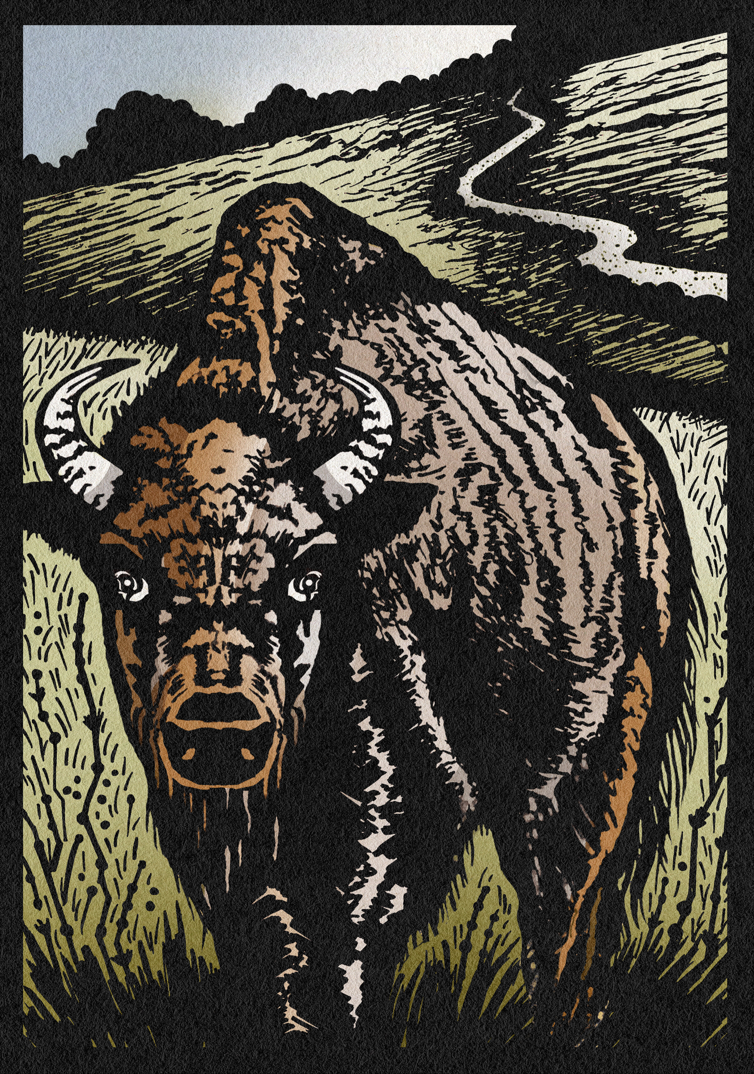 Buffalo-Color-Texture