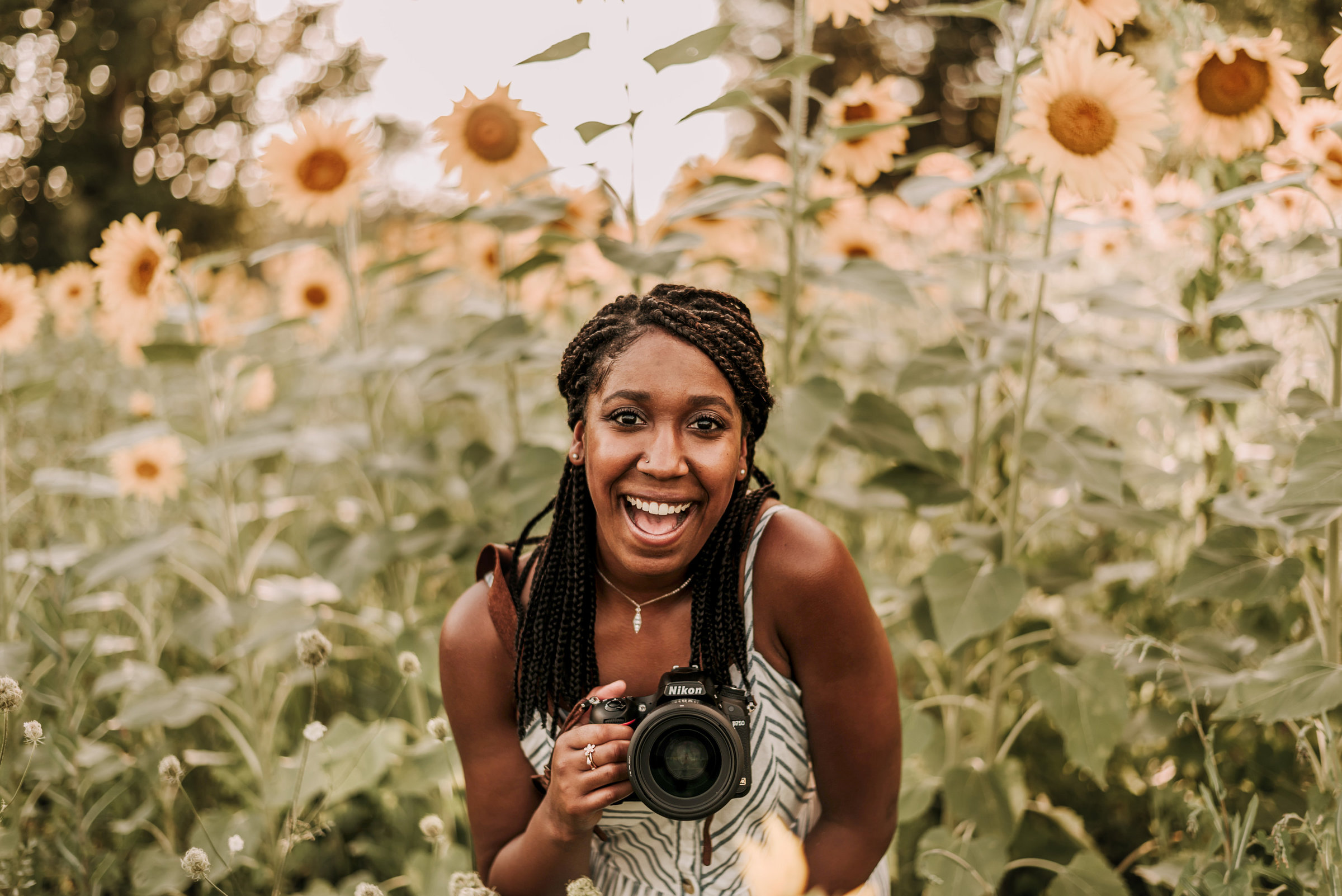 knoxville-sunflower-head-shot610