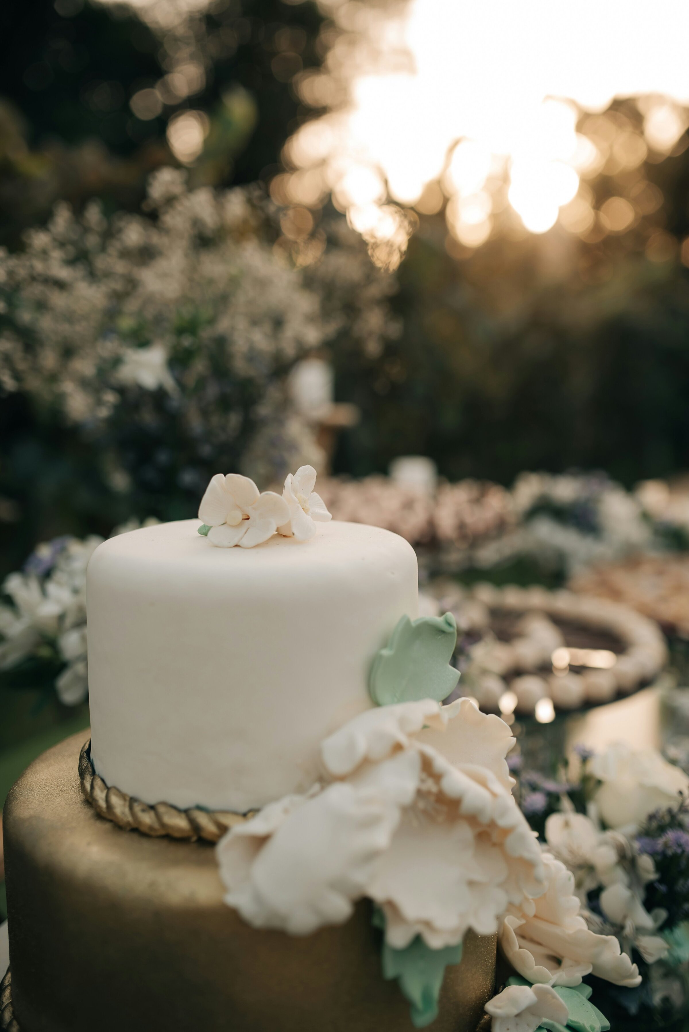jonathan-borba-cg8DMQbNjhw-unsplash