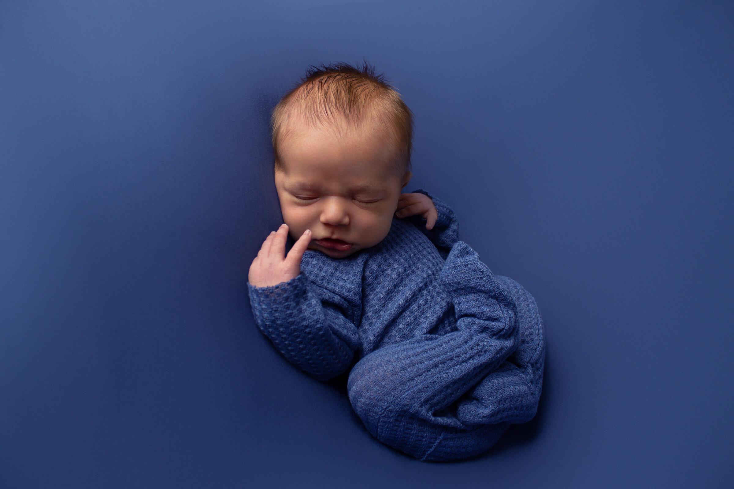Minot, ND Newborn Session  in Blue