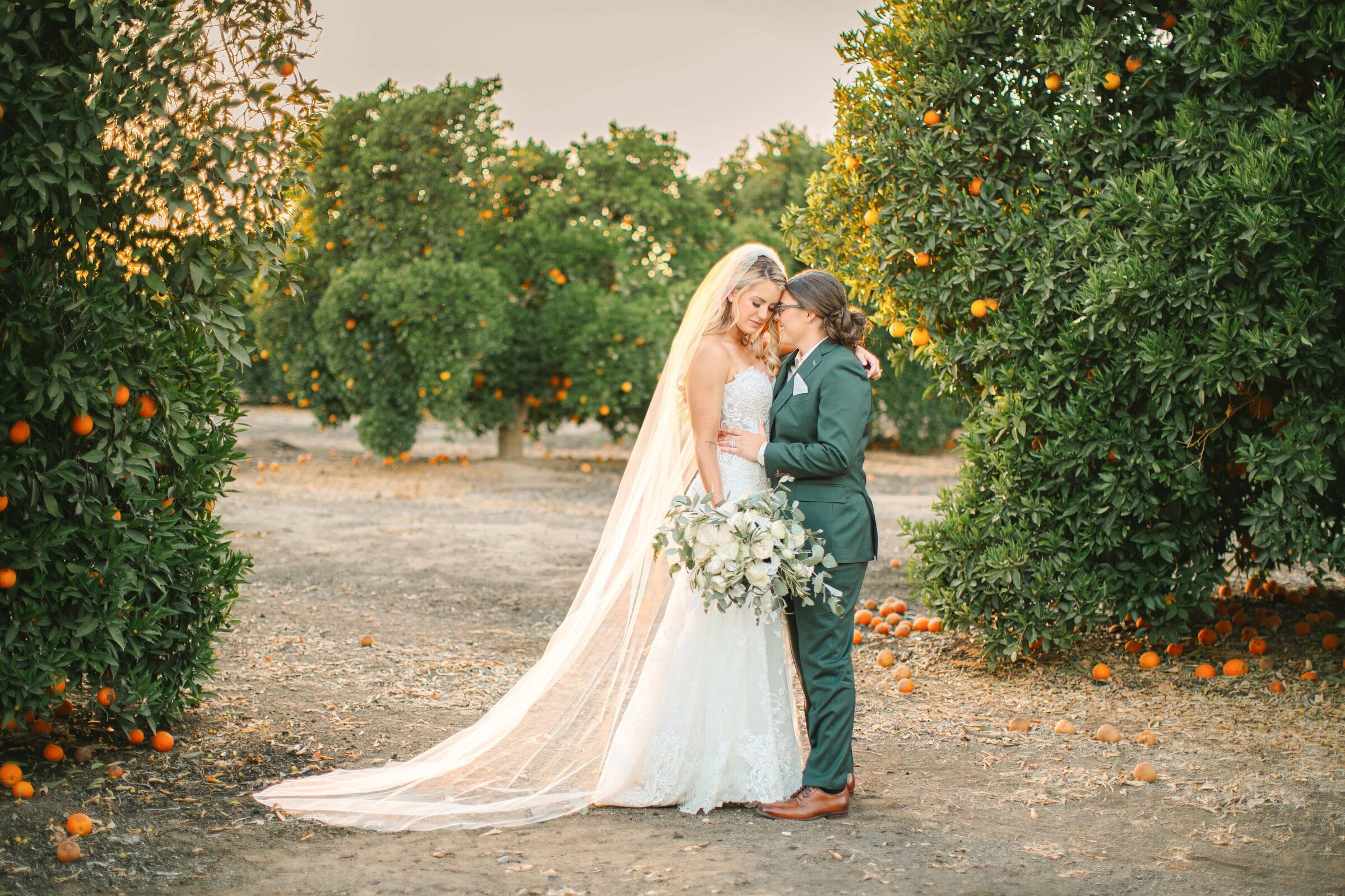two brides embrace in an orange orchard during sunset. One bride is wear a sharp green tailored suit while the other bride wears a beautiful ivory fitted mermaid gown
