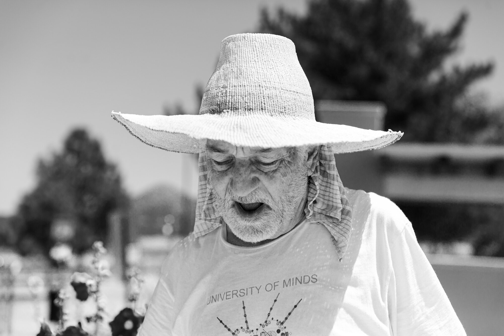 taos-7