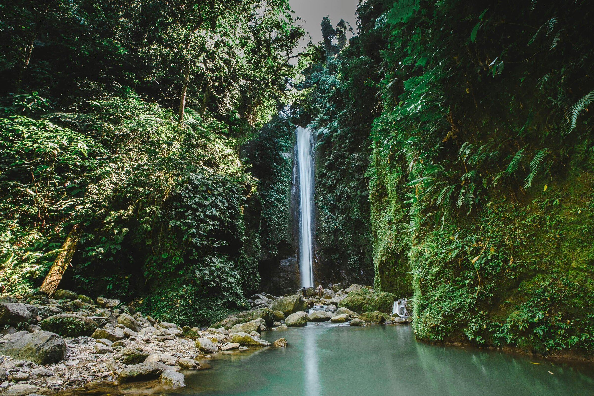 Image of a forrest pond with a waterfall