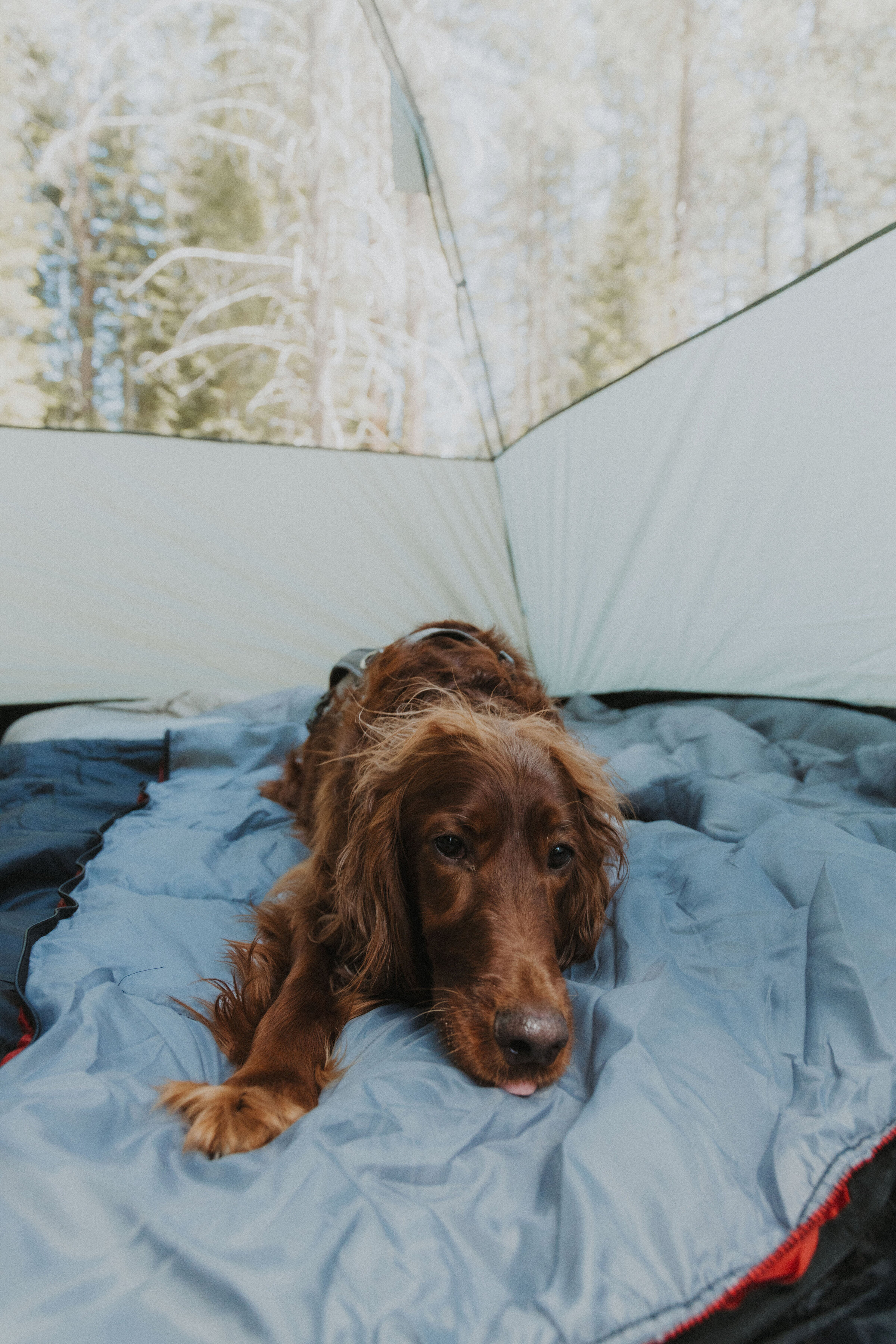 jackson f kimball state recreation site camping-32