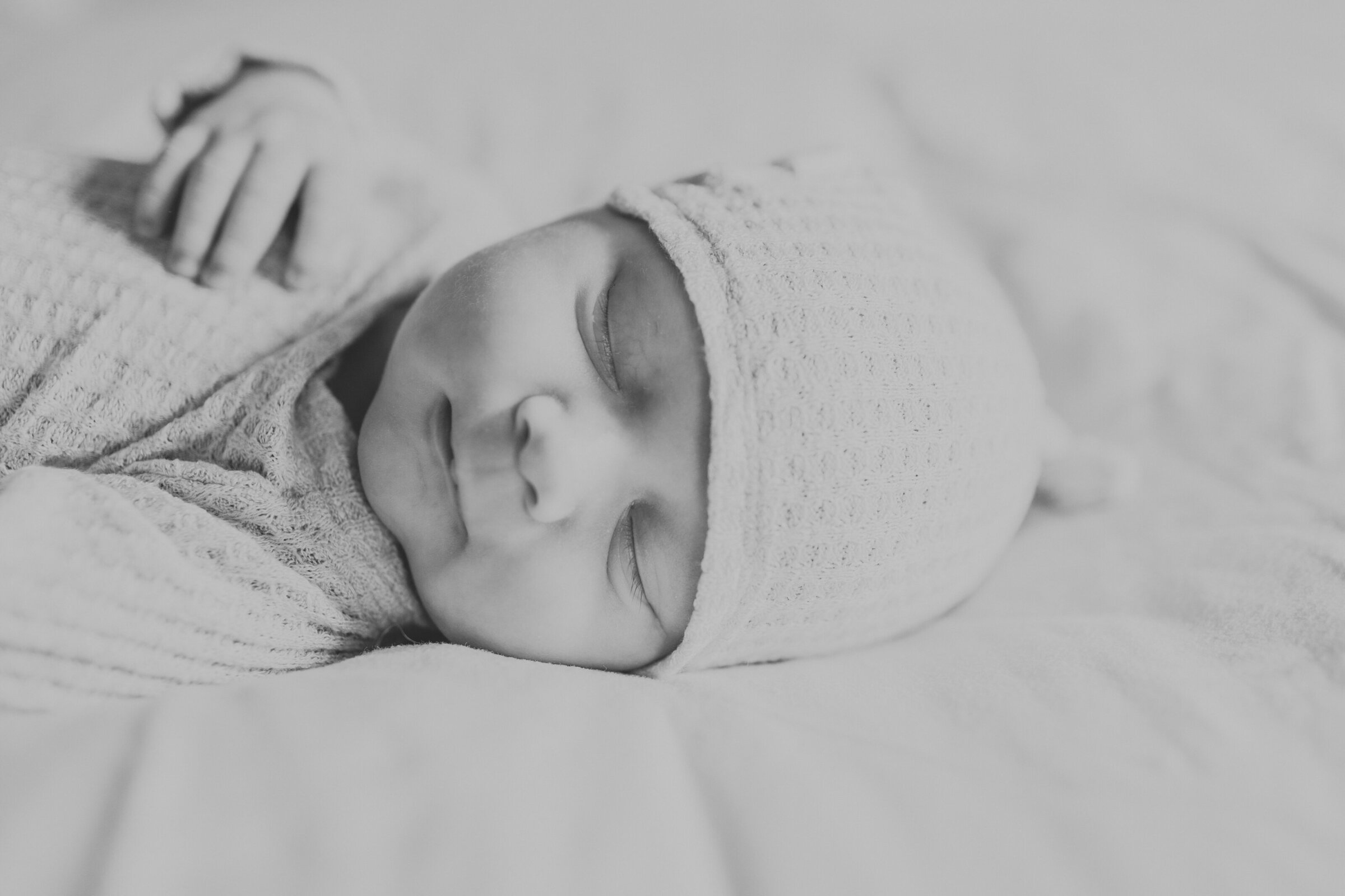 Chicago Newborn Photographer_20