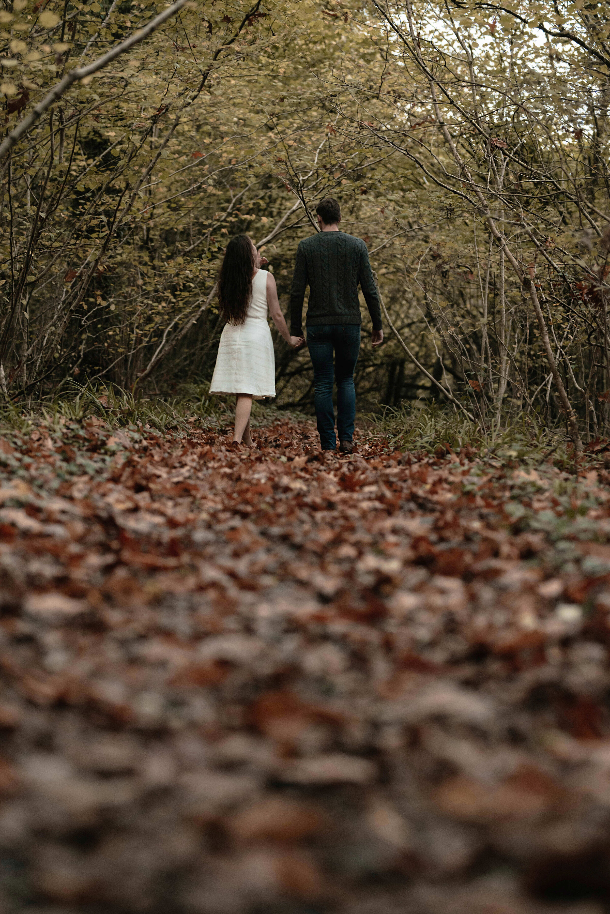 Man and woman walking hand in hand away from the camera surrounded by trees and fallen leaves