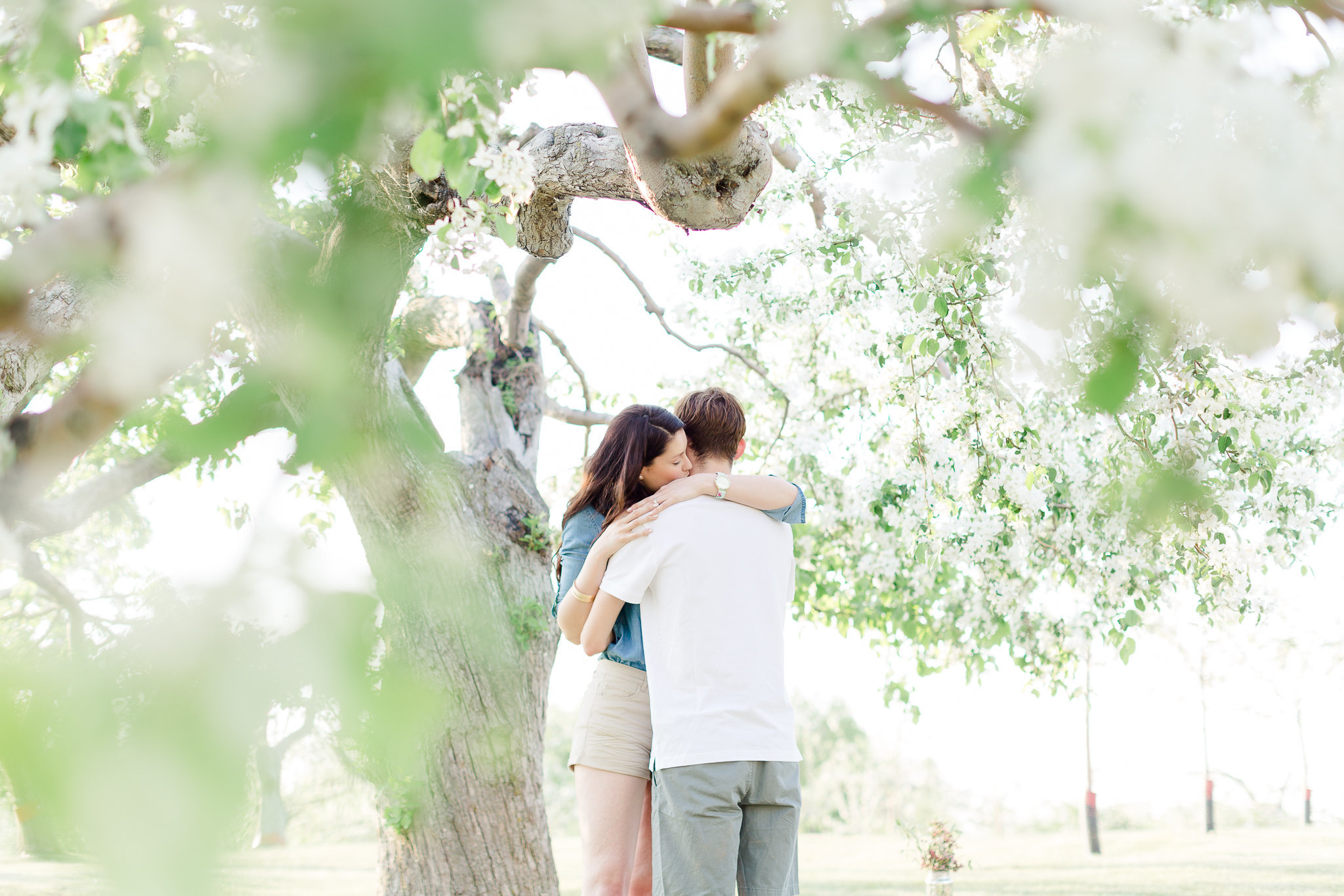 photographe-montreal-demande-en-mariage-lisa-renault-photographie-orchard-wedding-proposal-photographer-37