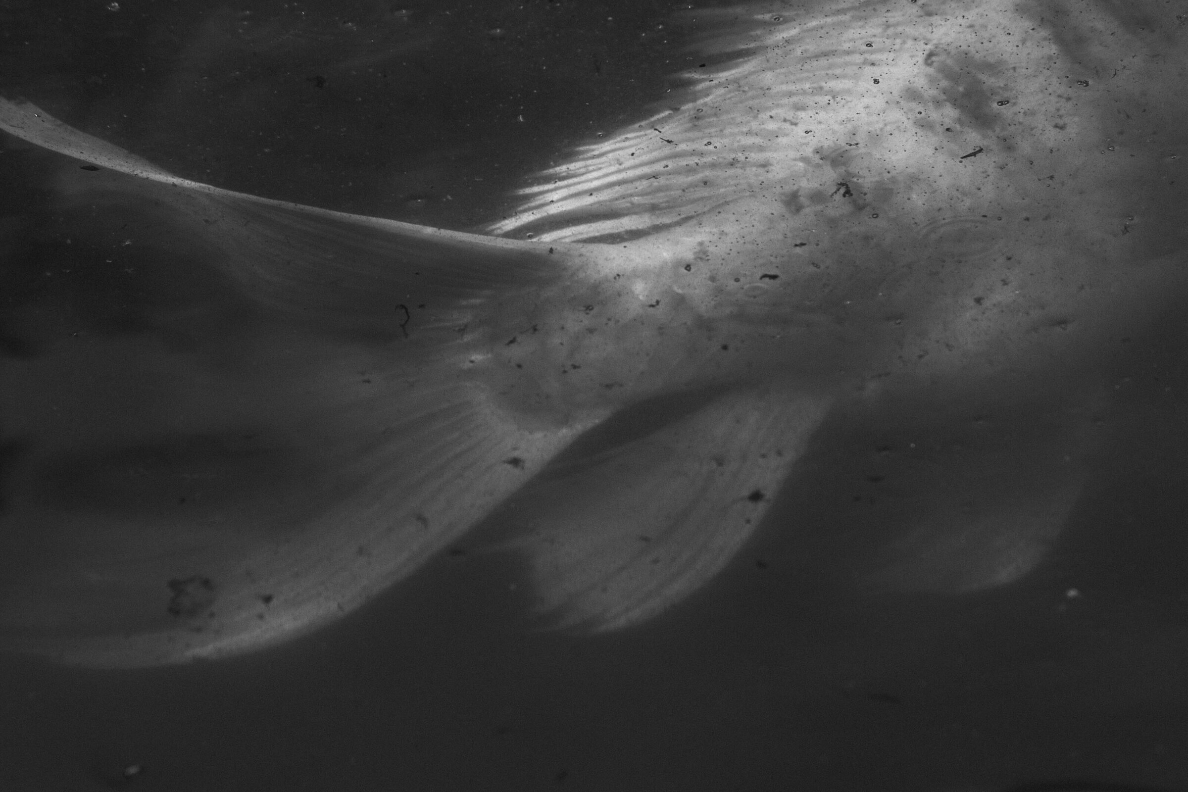 ClaireCiccarone_Photo1