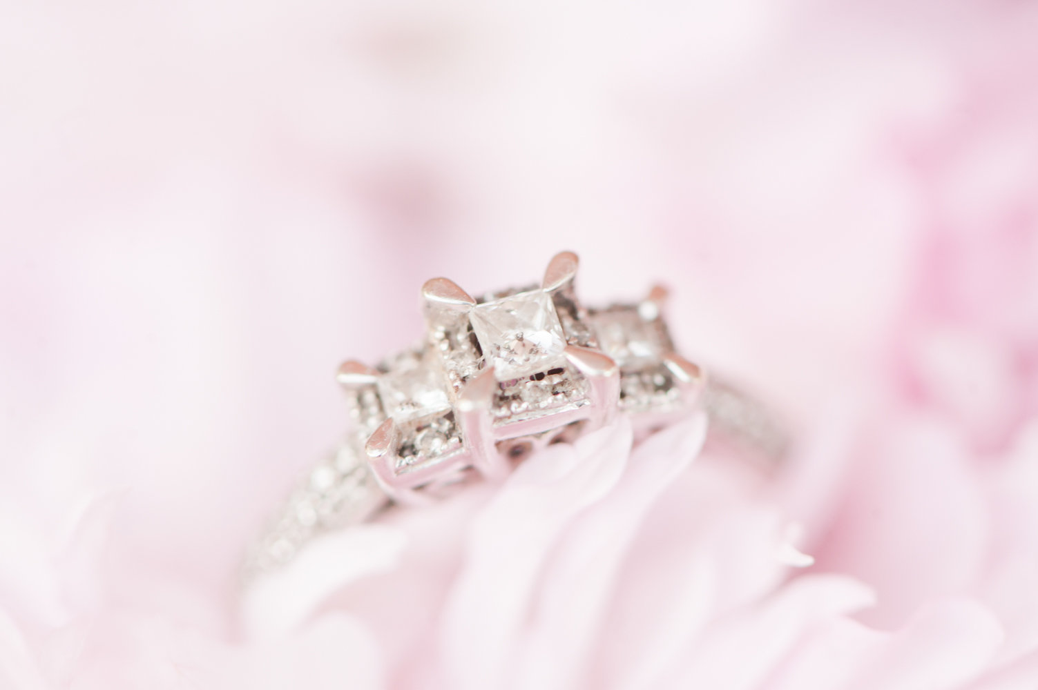 engagement-portraits-christina-forbes-photography-29