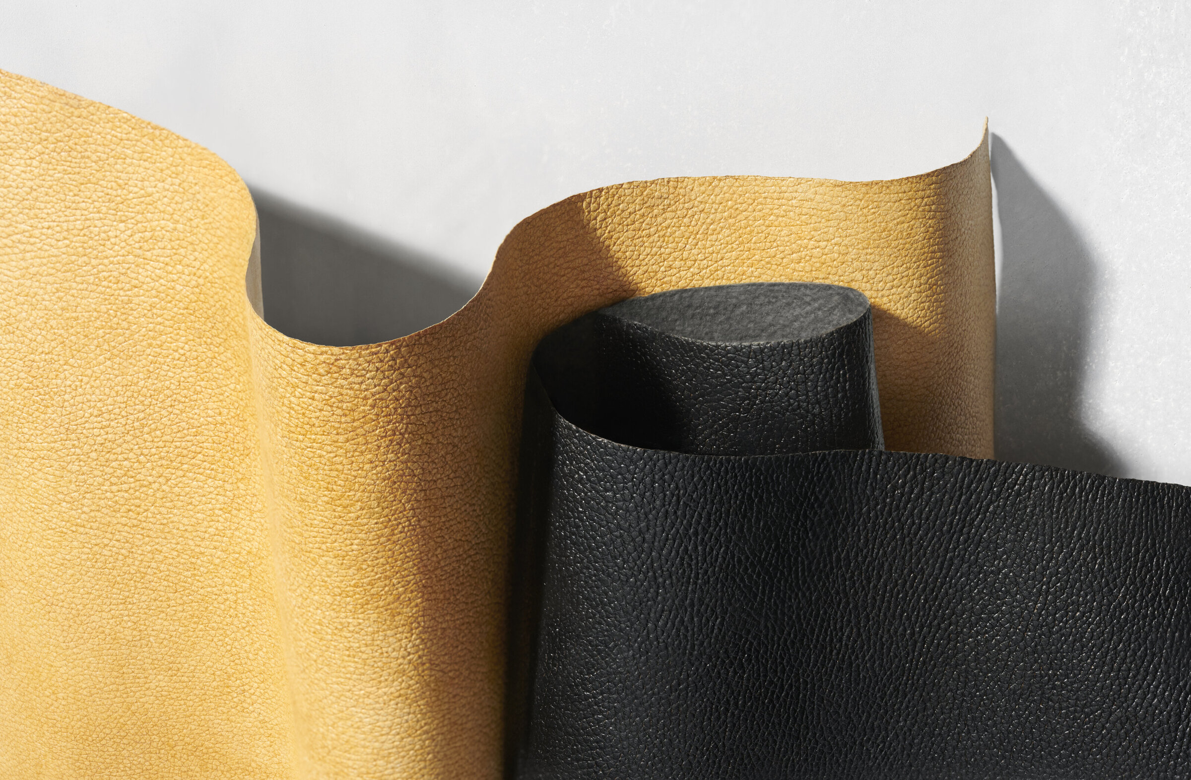 mylo_folds_06_000111_R2_low-contast