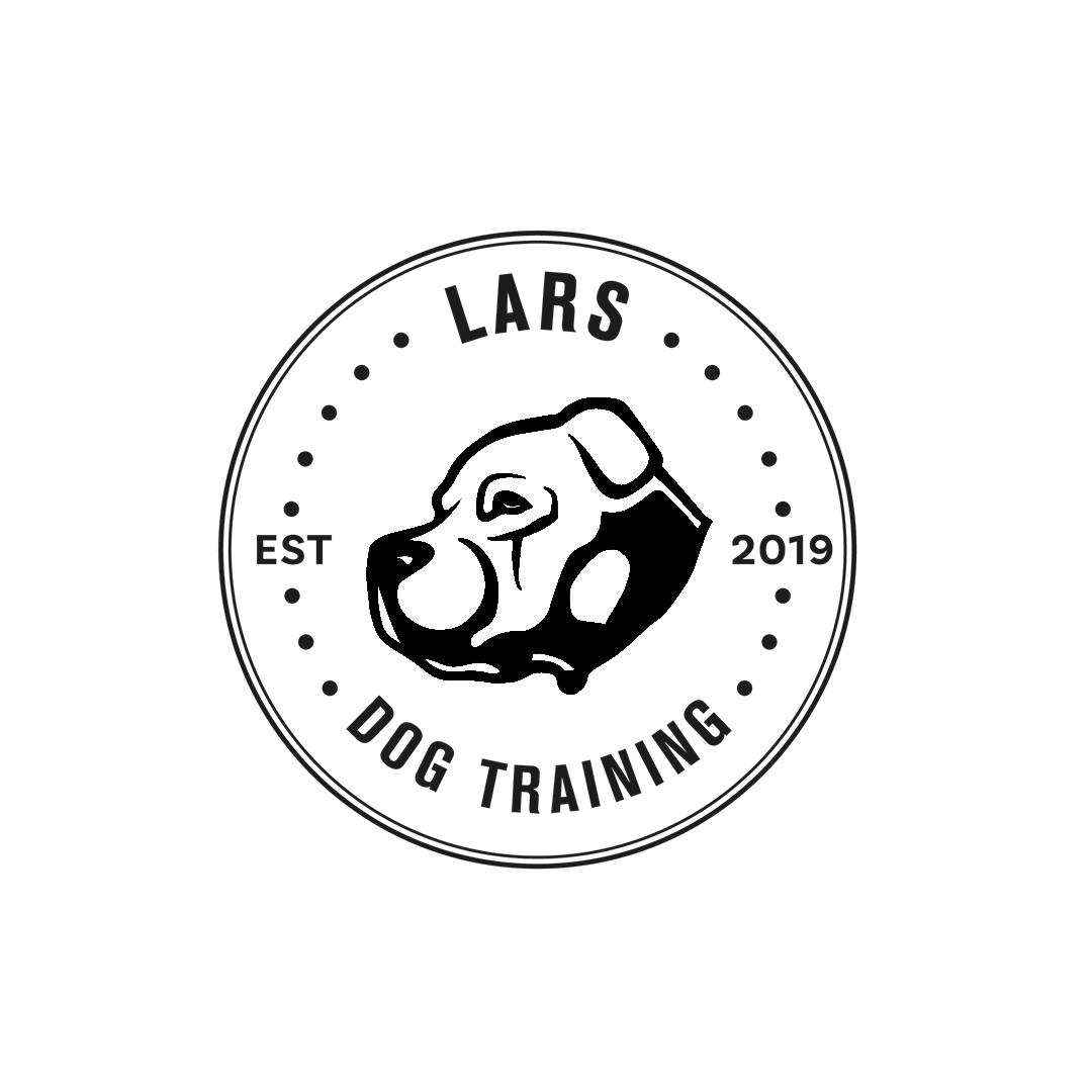 Lars dog training