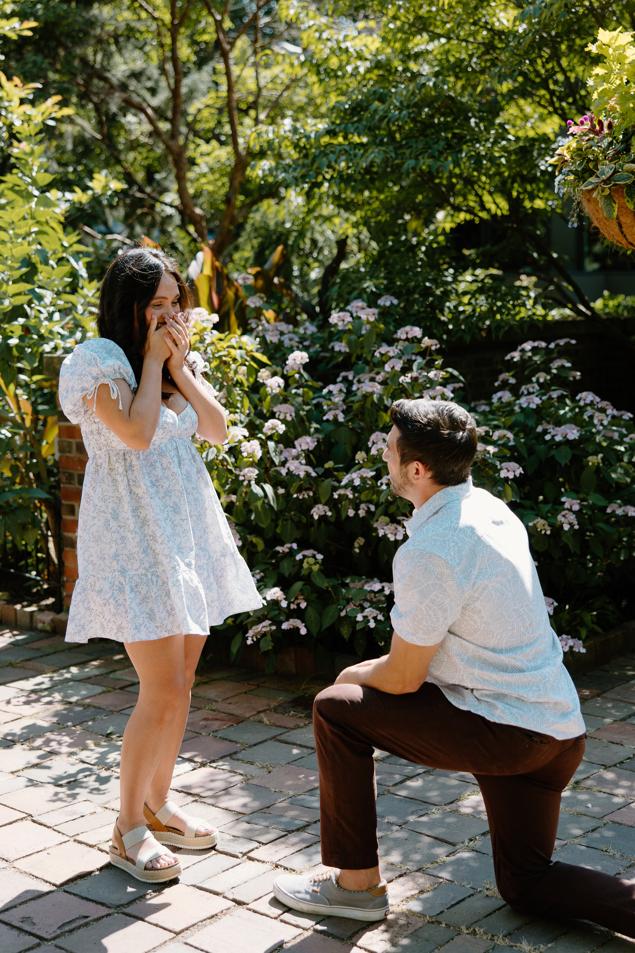 BriBrianProposal-32