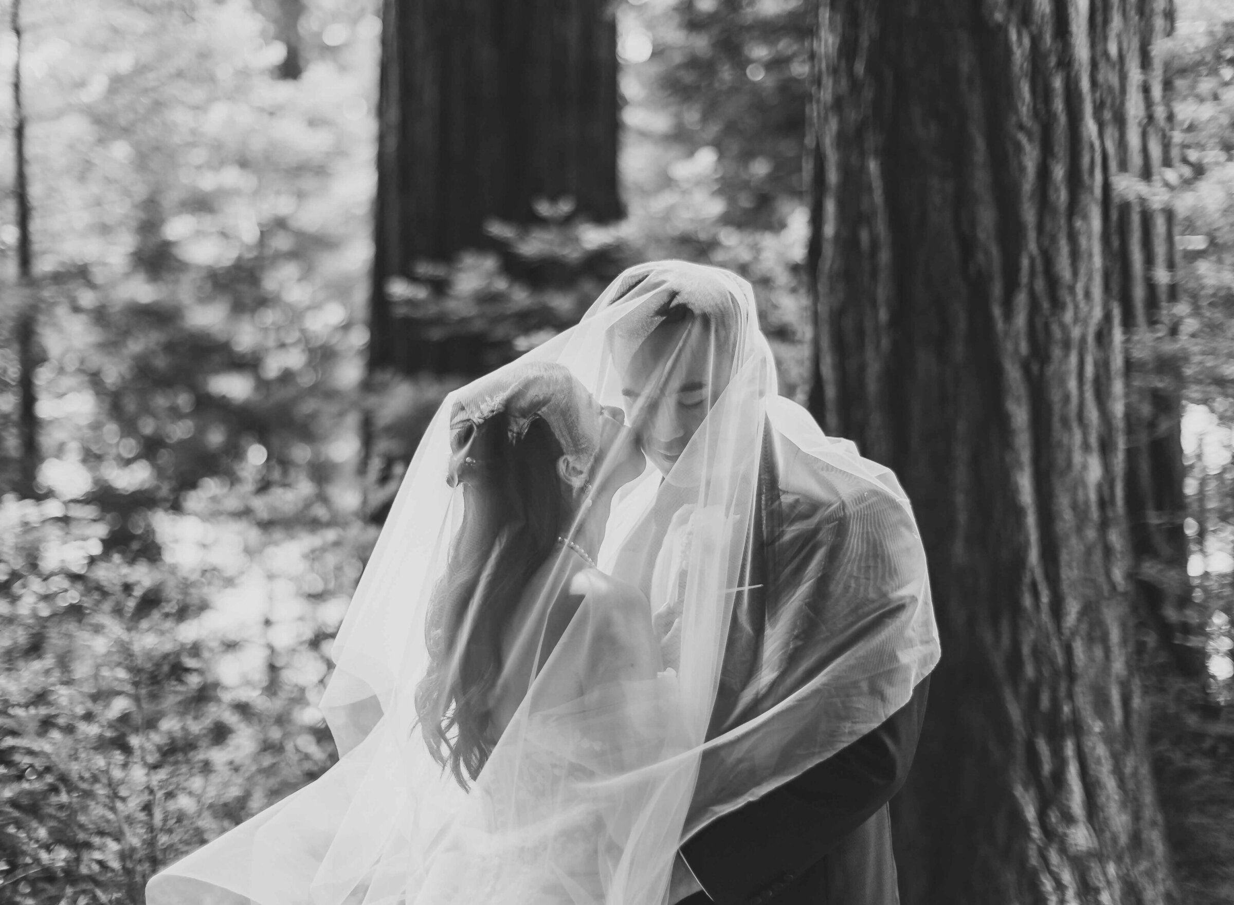 timeless photography 8