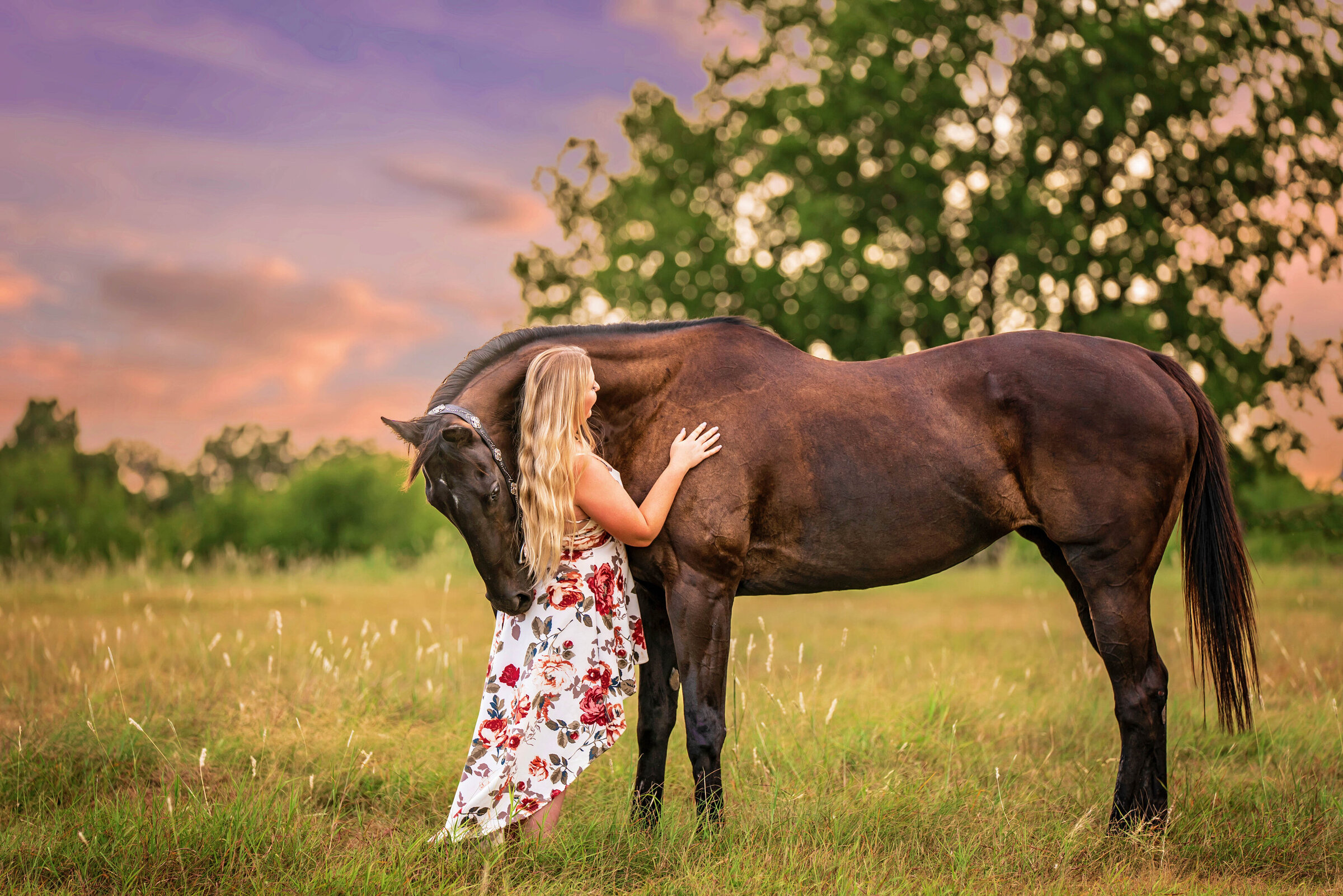 equestrian hugging her horse at sunset