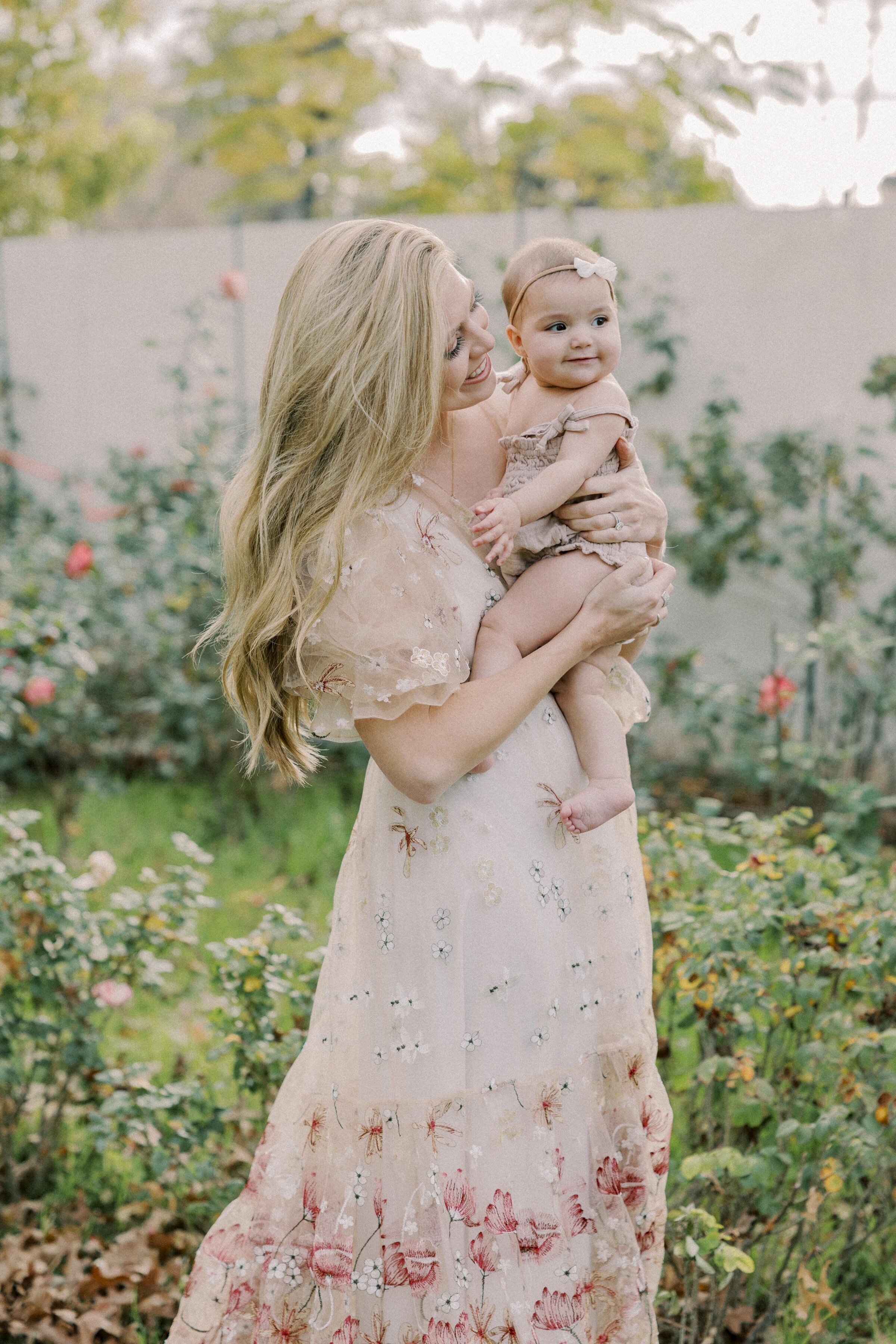 rose garden-1