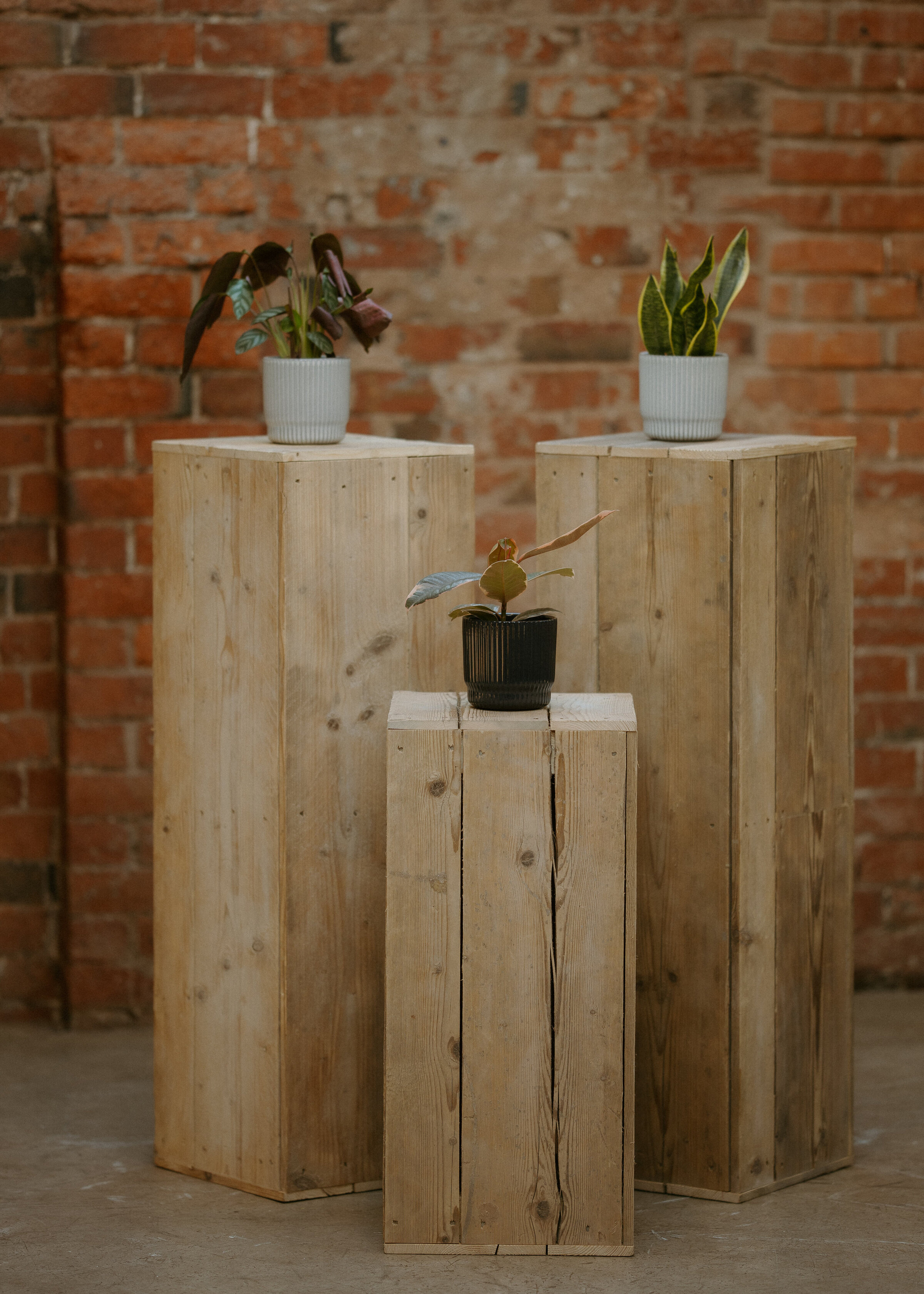 SHACK-REVOLUTION-PORTFOLIO-PHOTOS-58b