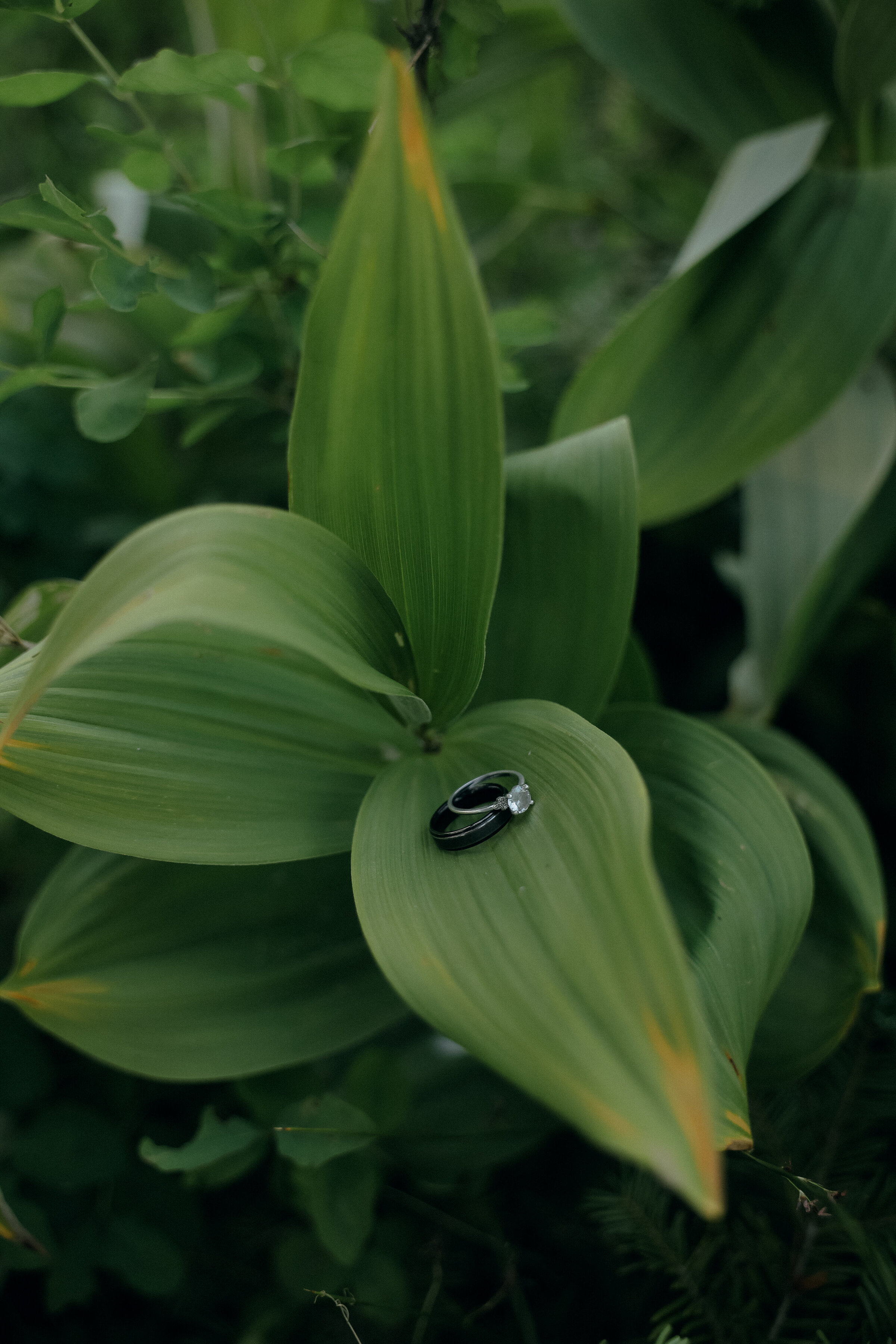 Oregon Family Session – Couple Kissing with Baby in Meadow