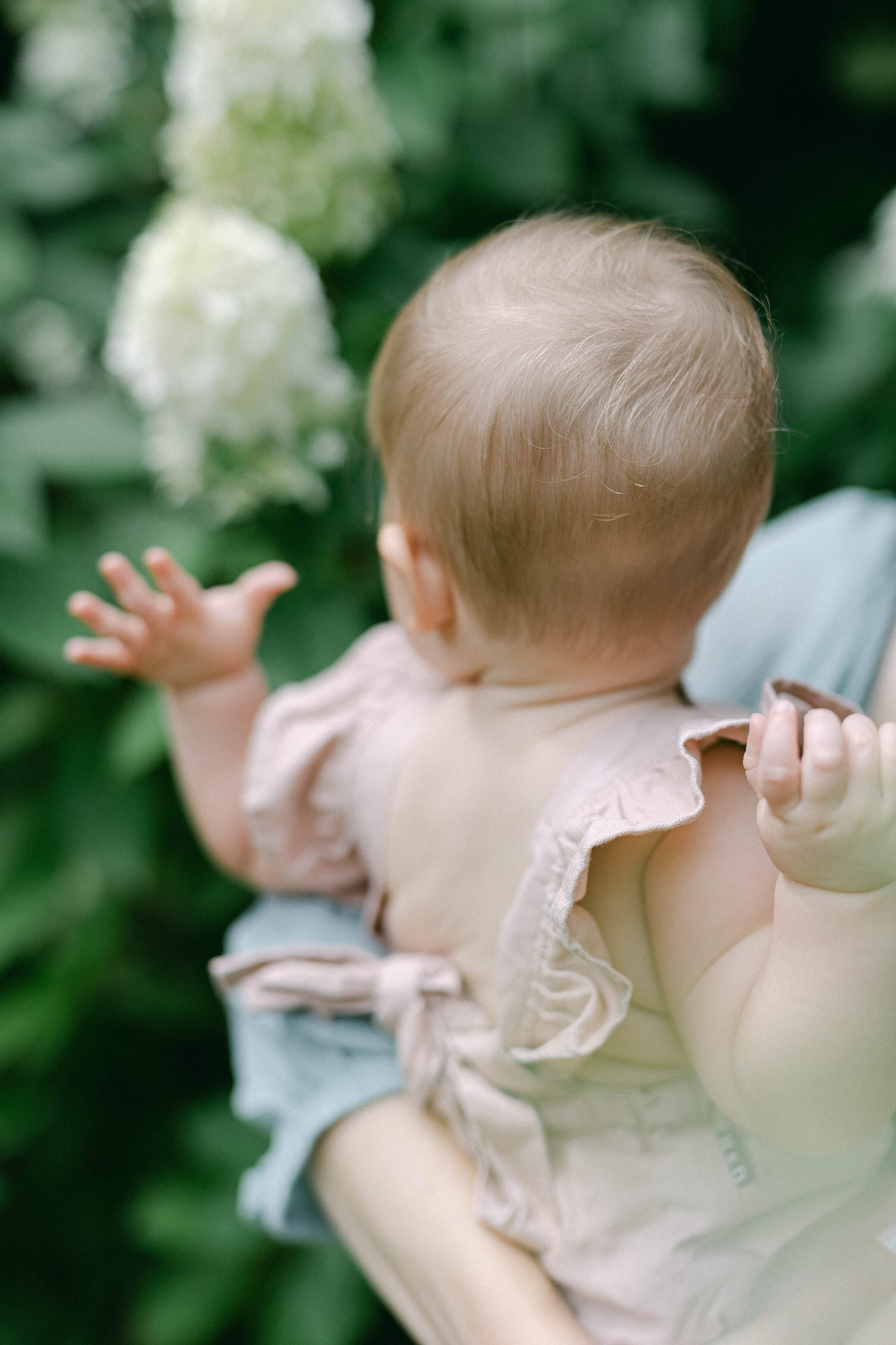 malin portraits-family photographer-knoxville-botanical gardens-brazzell-23
