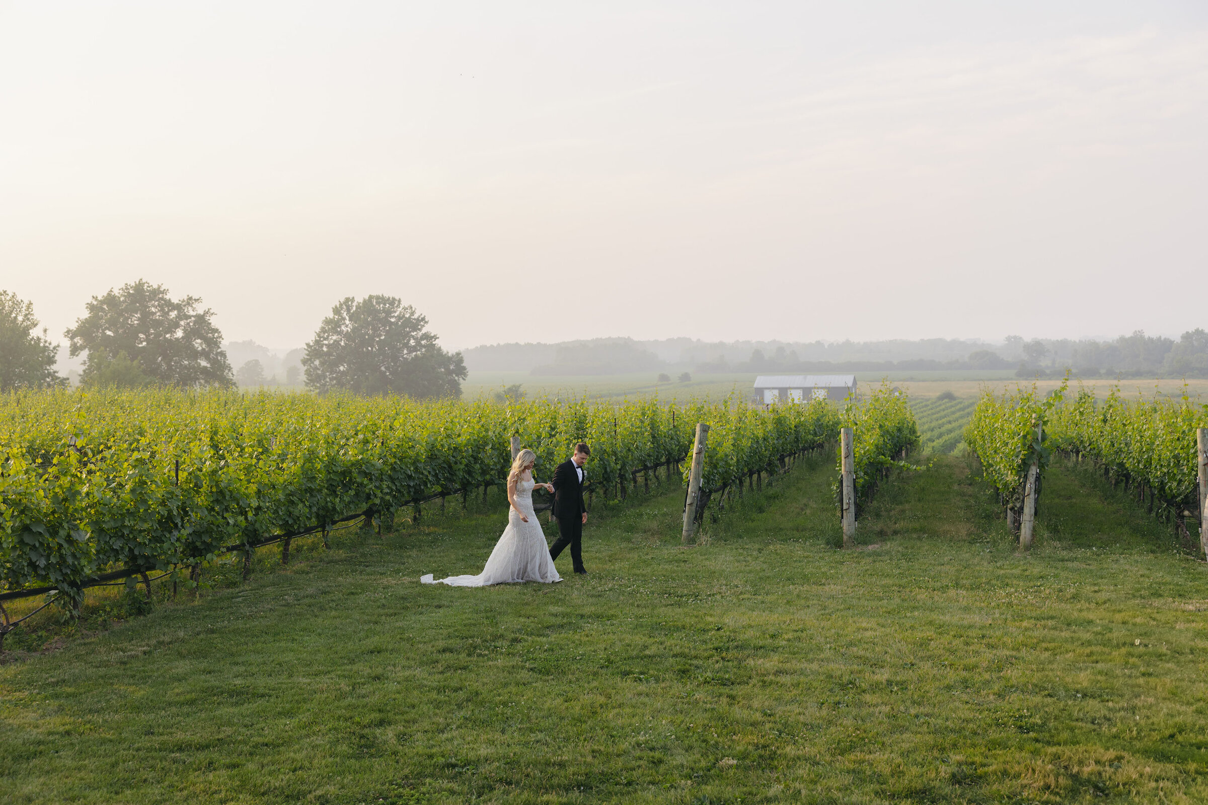 Luxury editorial at Ravine Winery in Niagara-On-The-Lake Ontario | Cacie Carroll Photography | West Coast and Destination Wedding Photography
