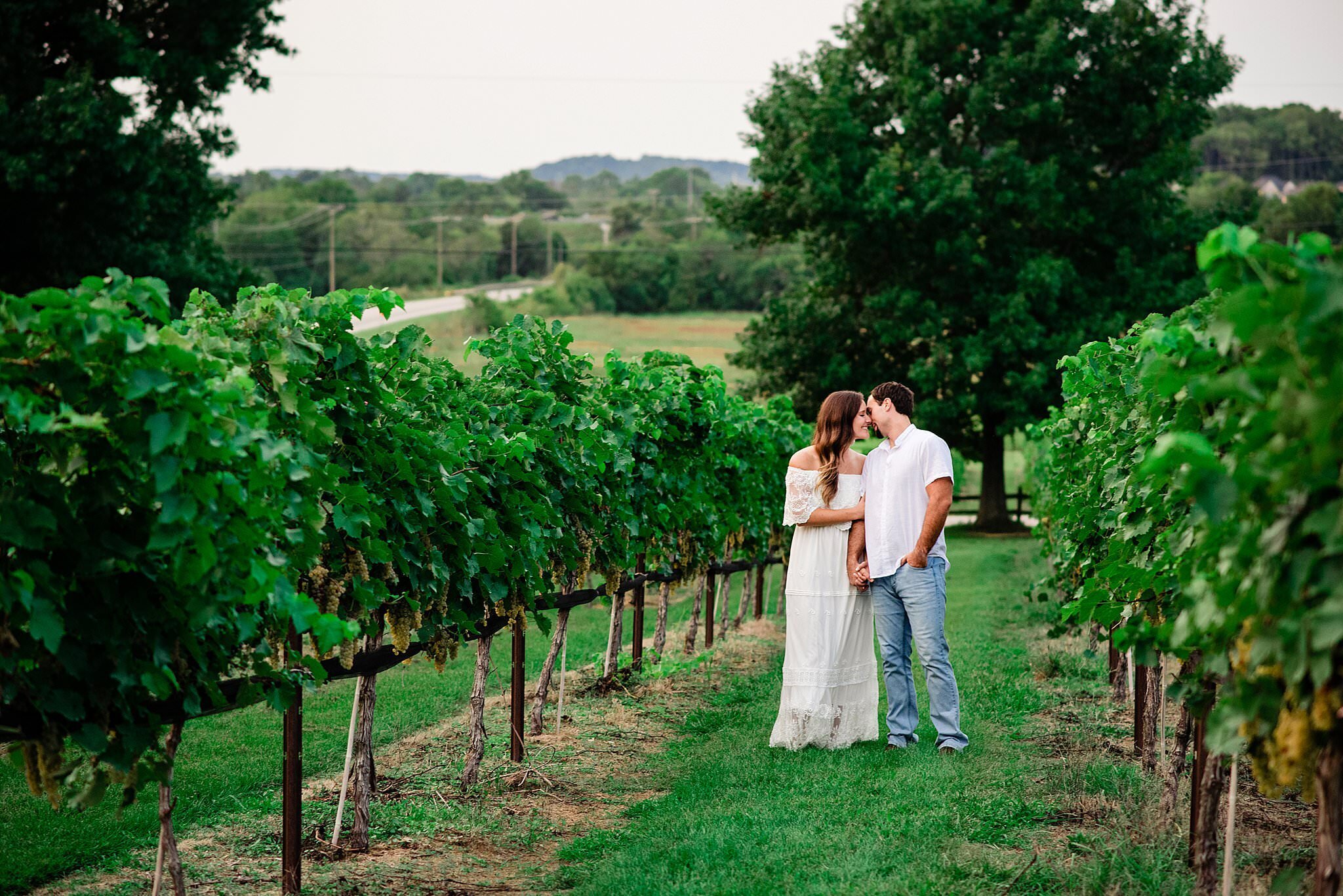 Couple standing in the middle of the vineyards snuggled together nose to nose with the rolling hills in the distance
