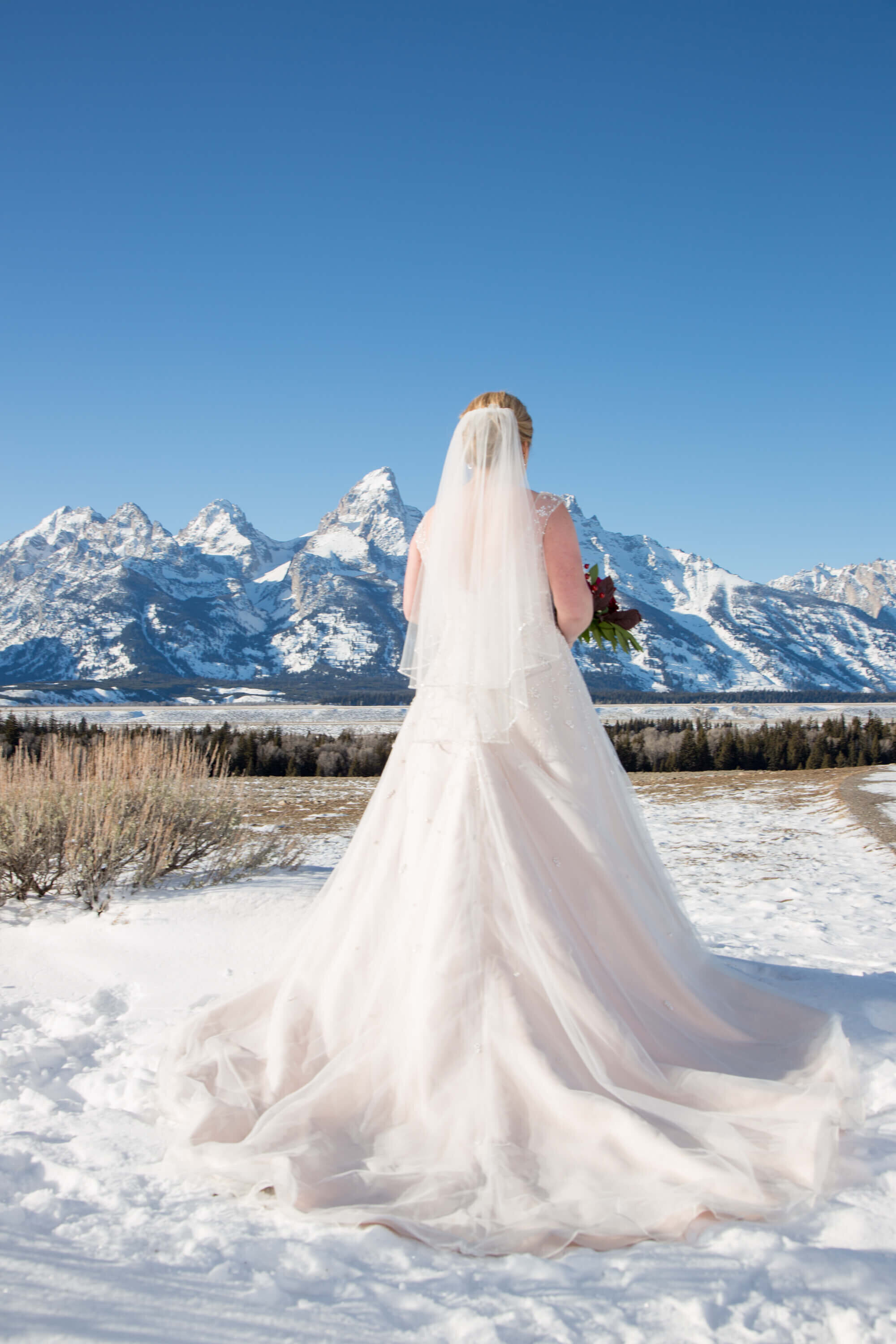 A bride stands in the snowy expanse of Grand Teton National Park, Wyoming, wearing a blush wedding gown with a cathedral-length veil. The snow-covered peaks of the Tetons rise behind her as she holds a winter bridal bouquet.