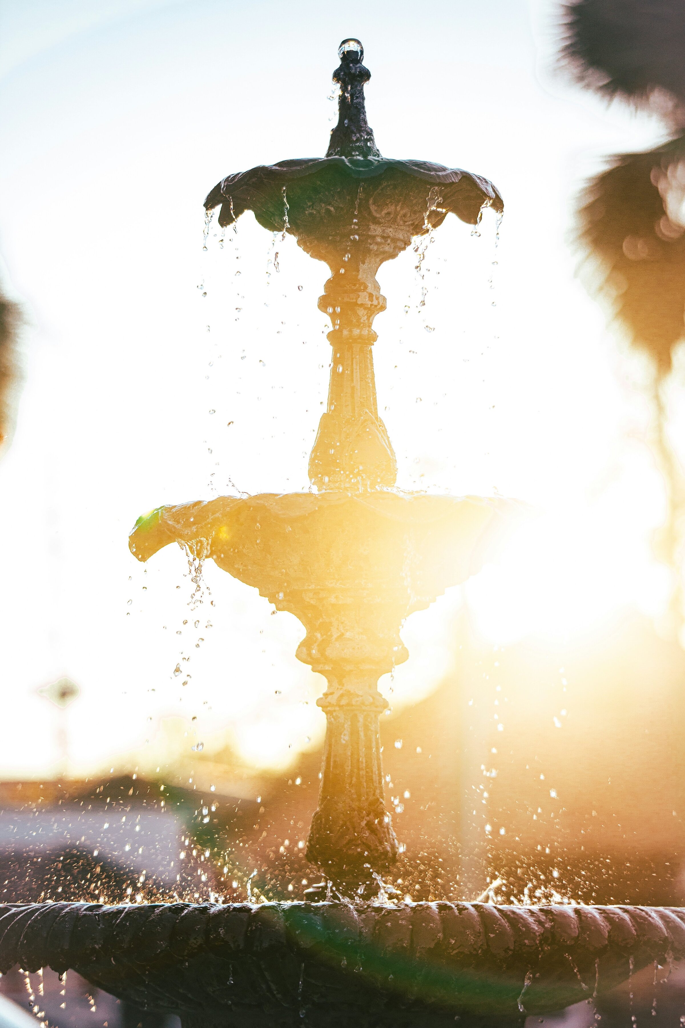 travis-walser-7vFi3OCNsNQ-unsplash