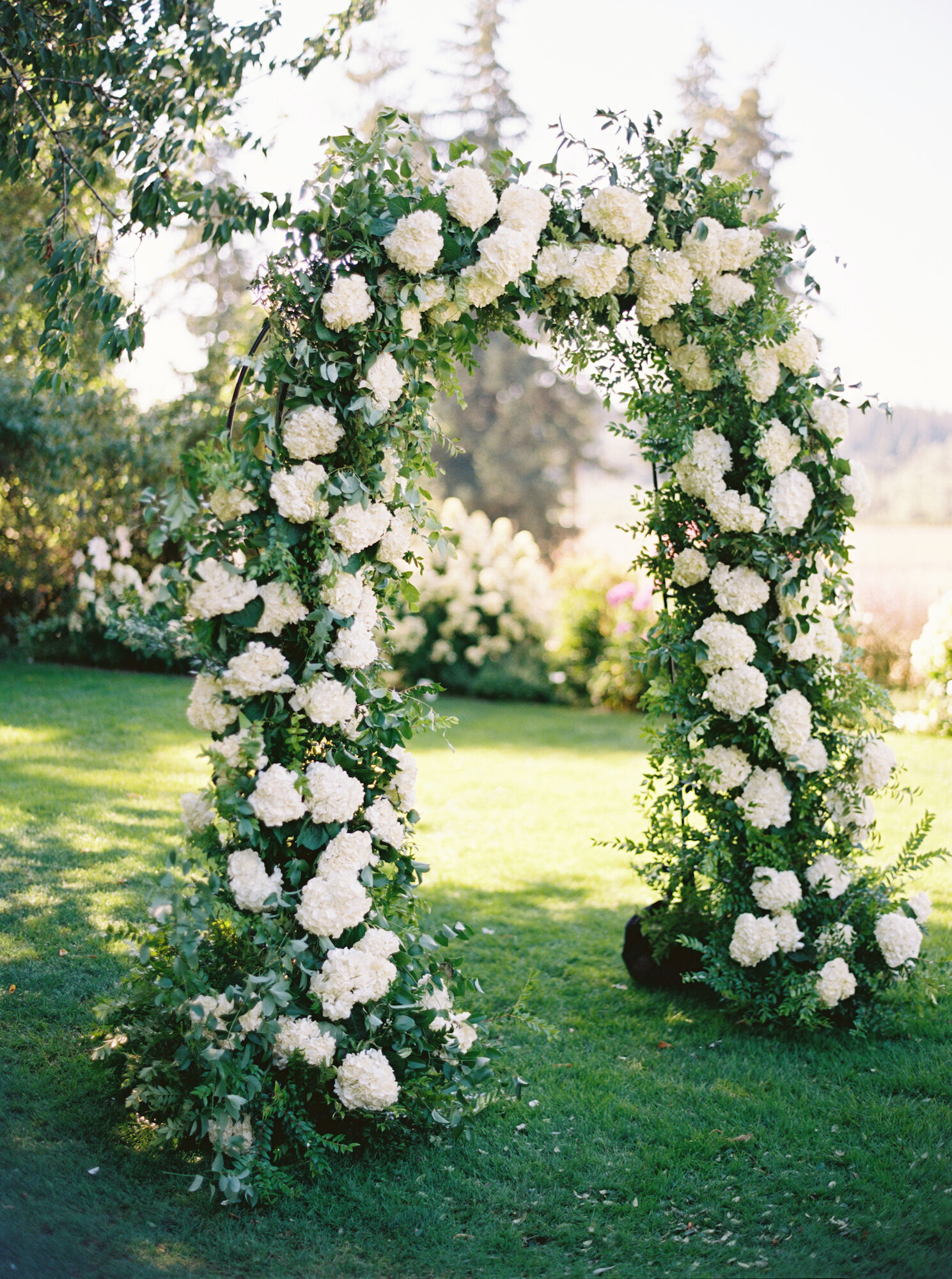 white hydrangea wedding arch