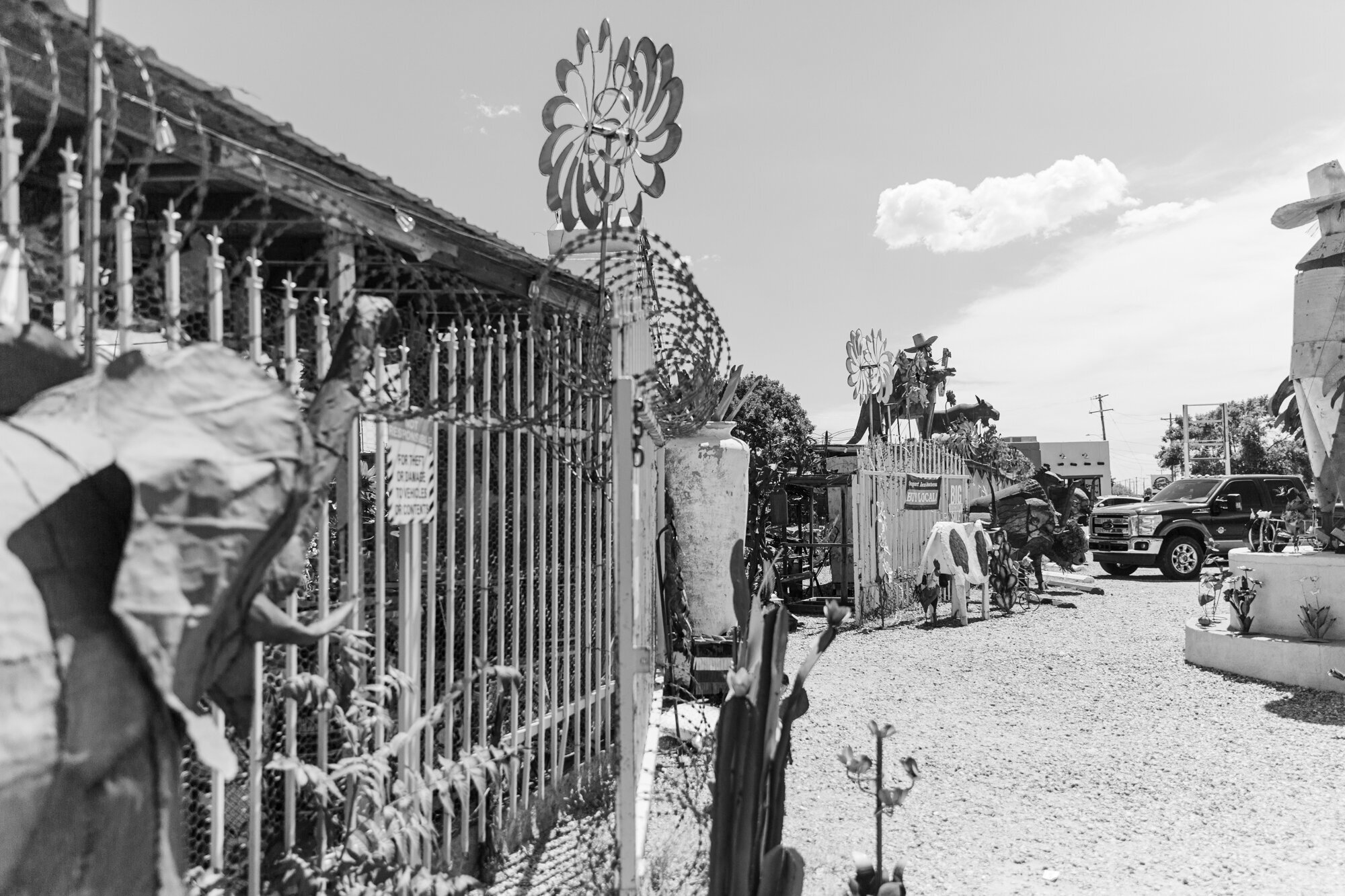 taos-12