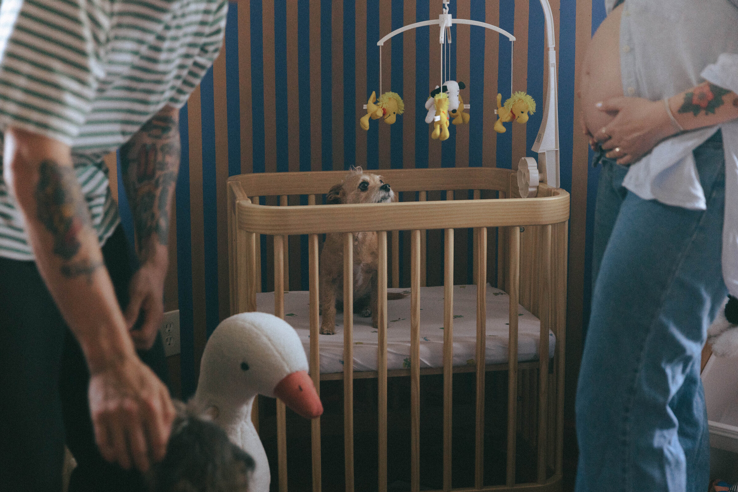 Jill&Octie_Maternity-11