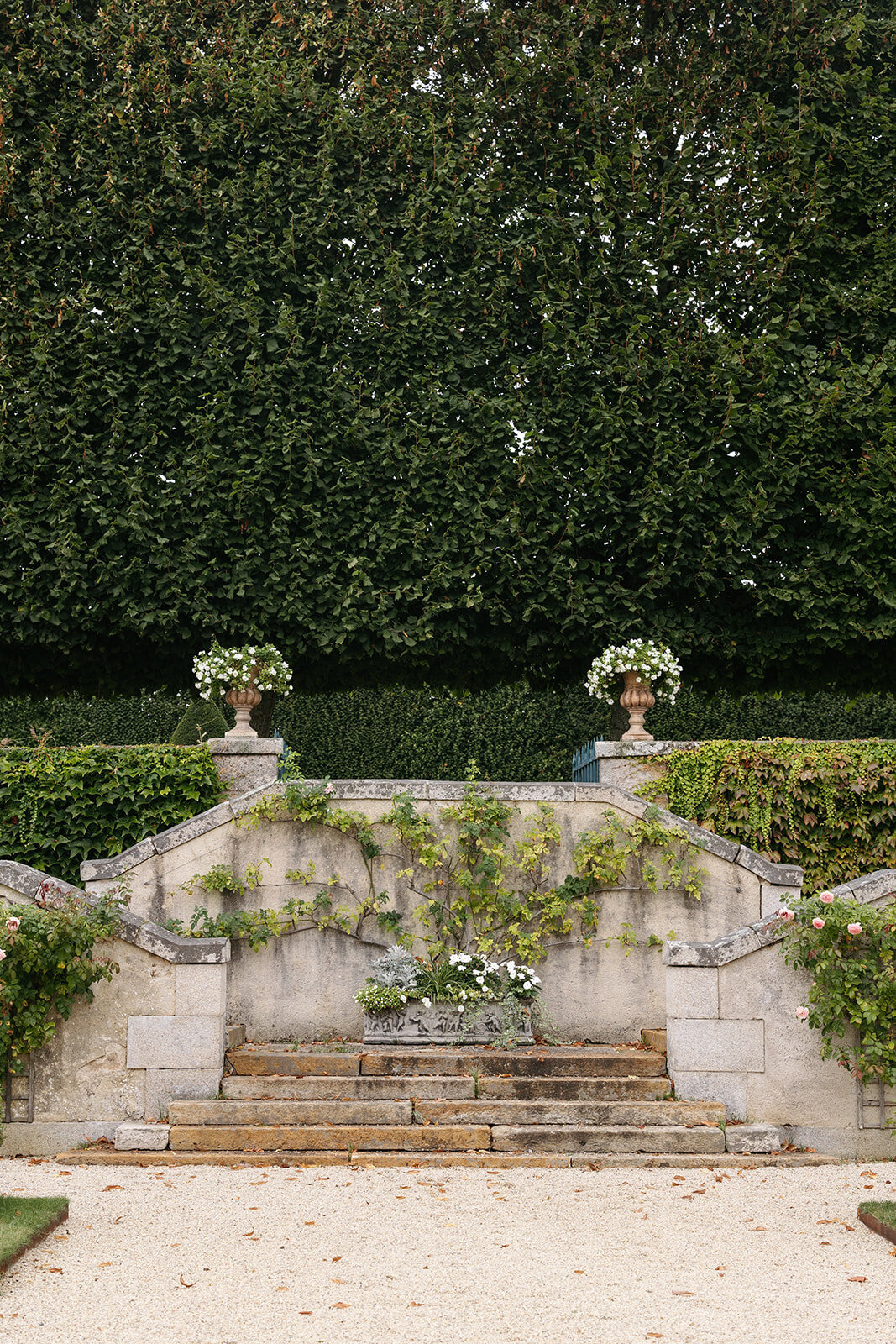 Stone steps in a French chateau garden surrounded by lush greenery, climbing vines, and decorative planters filled with white florals.