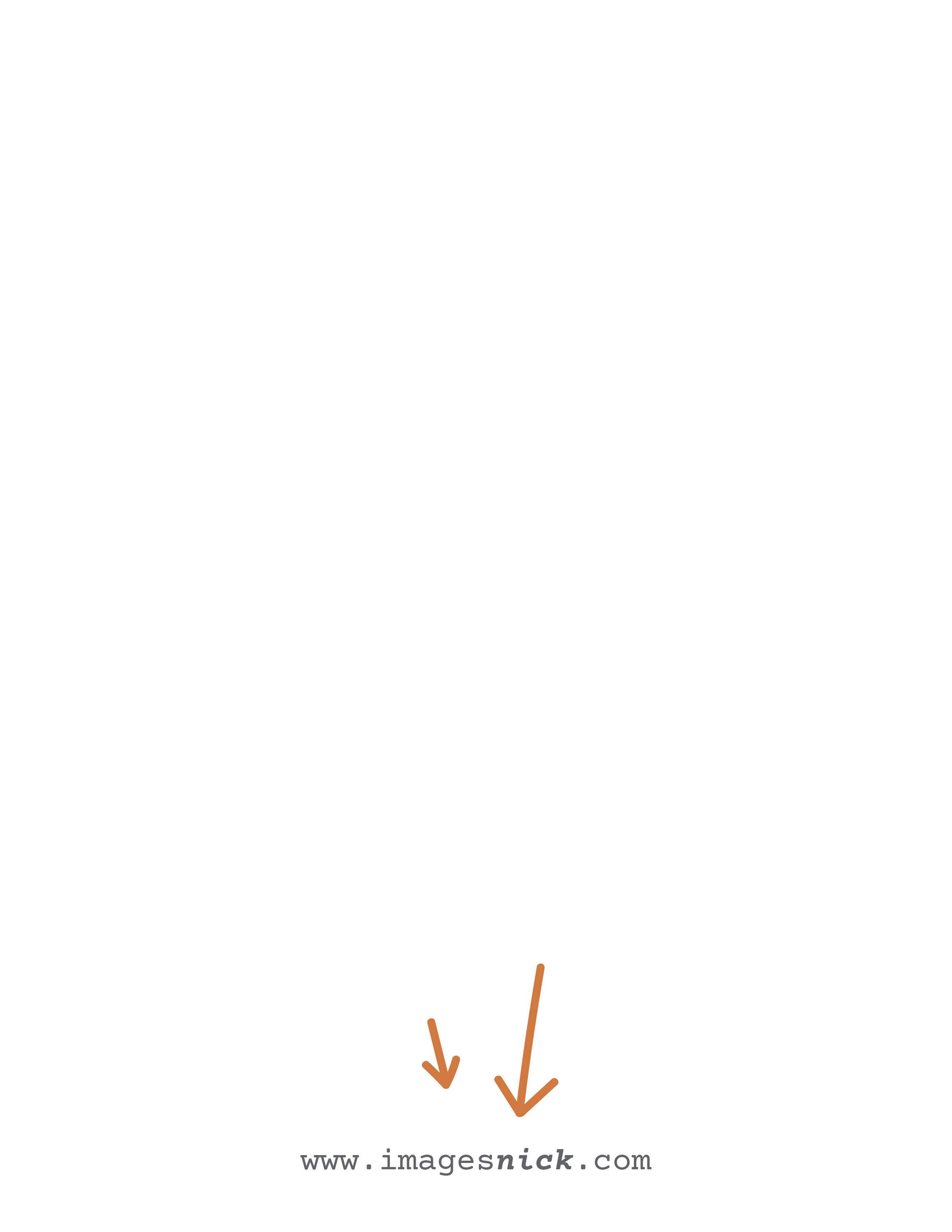 Furocious20