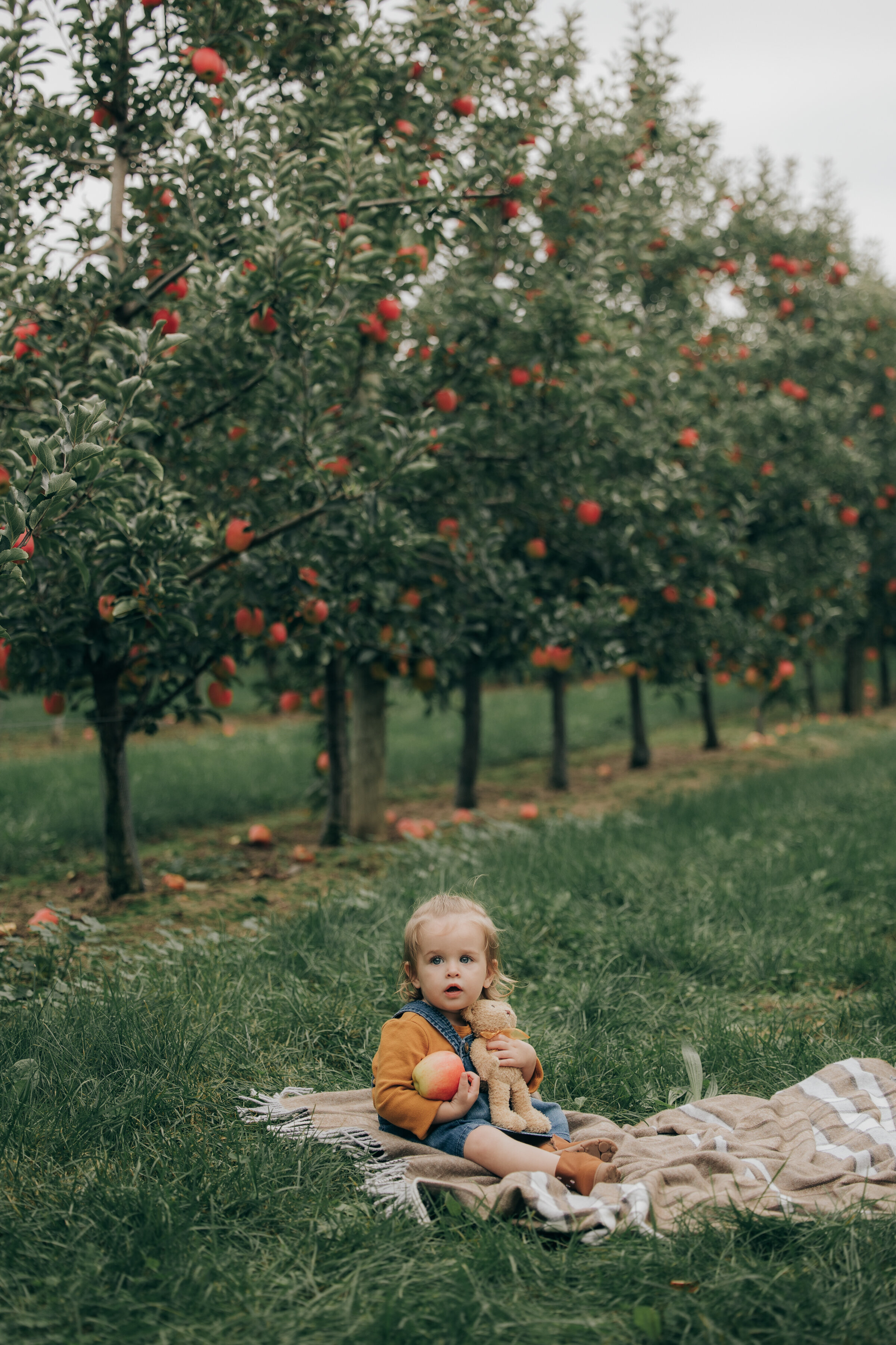 Apple Orchard Photography | London, Ontario :: NovaMarkina