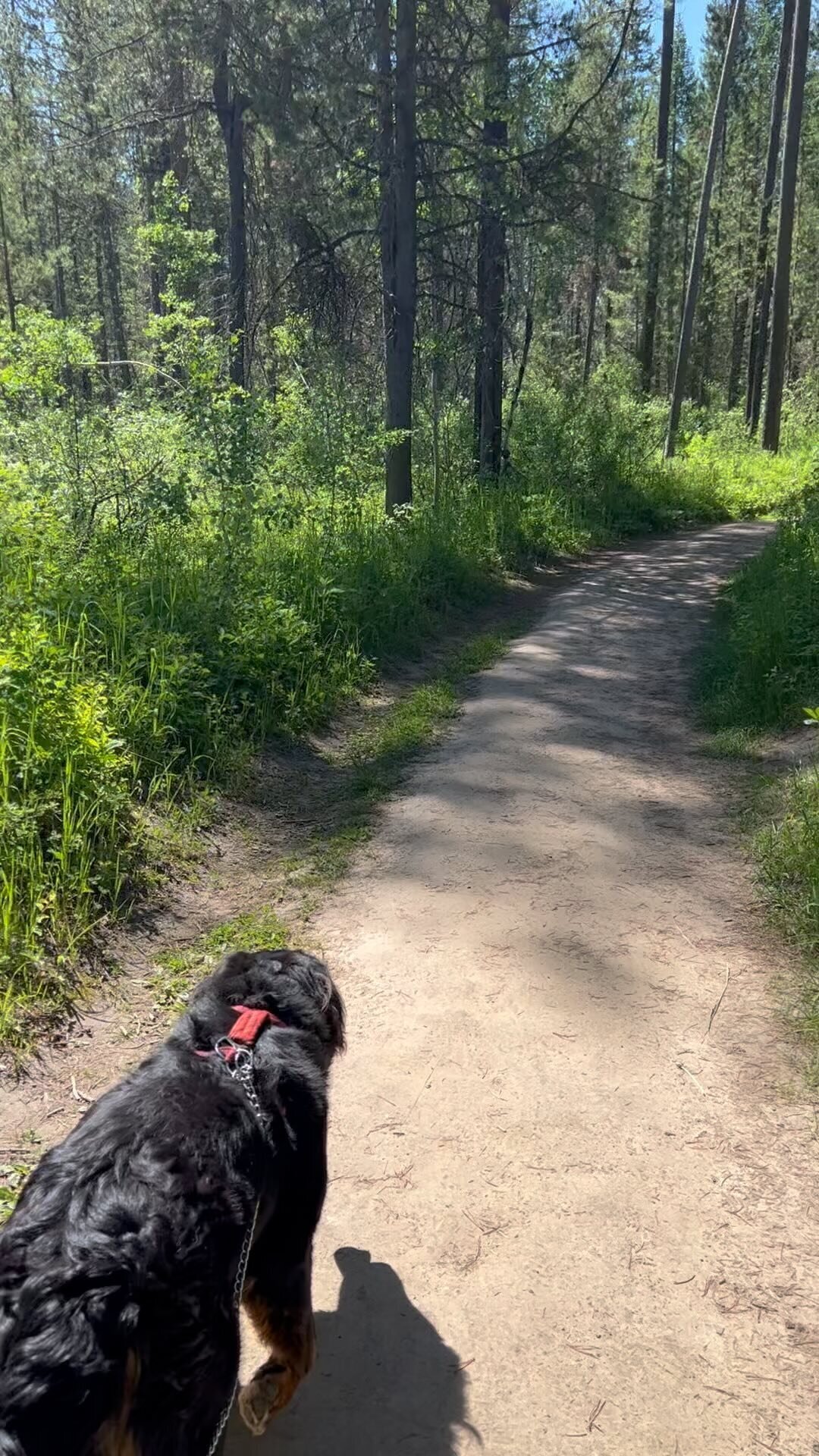 332934156_723605639301935_8349020709503546678_n