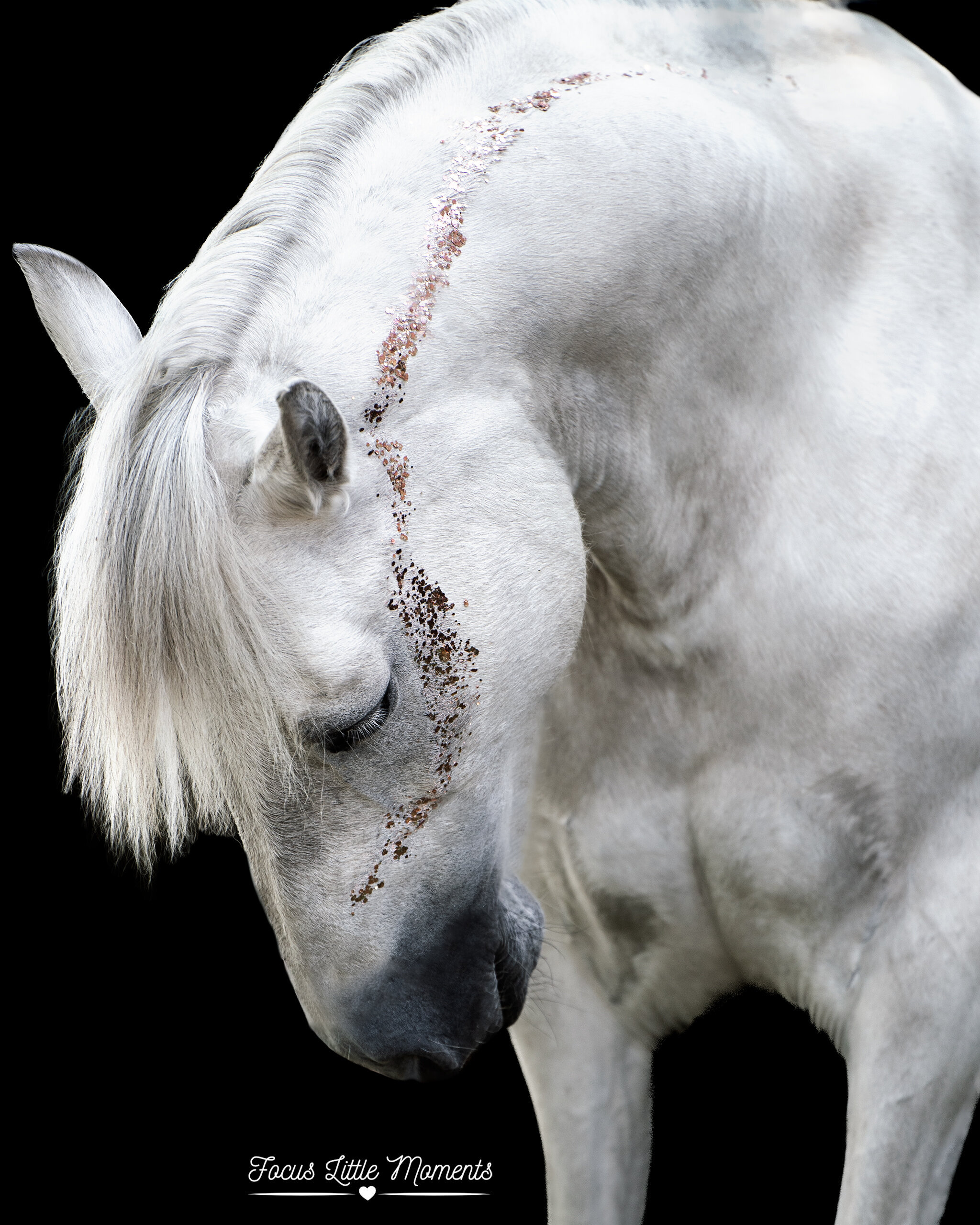 _DSC3495-bewerkt web