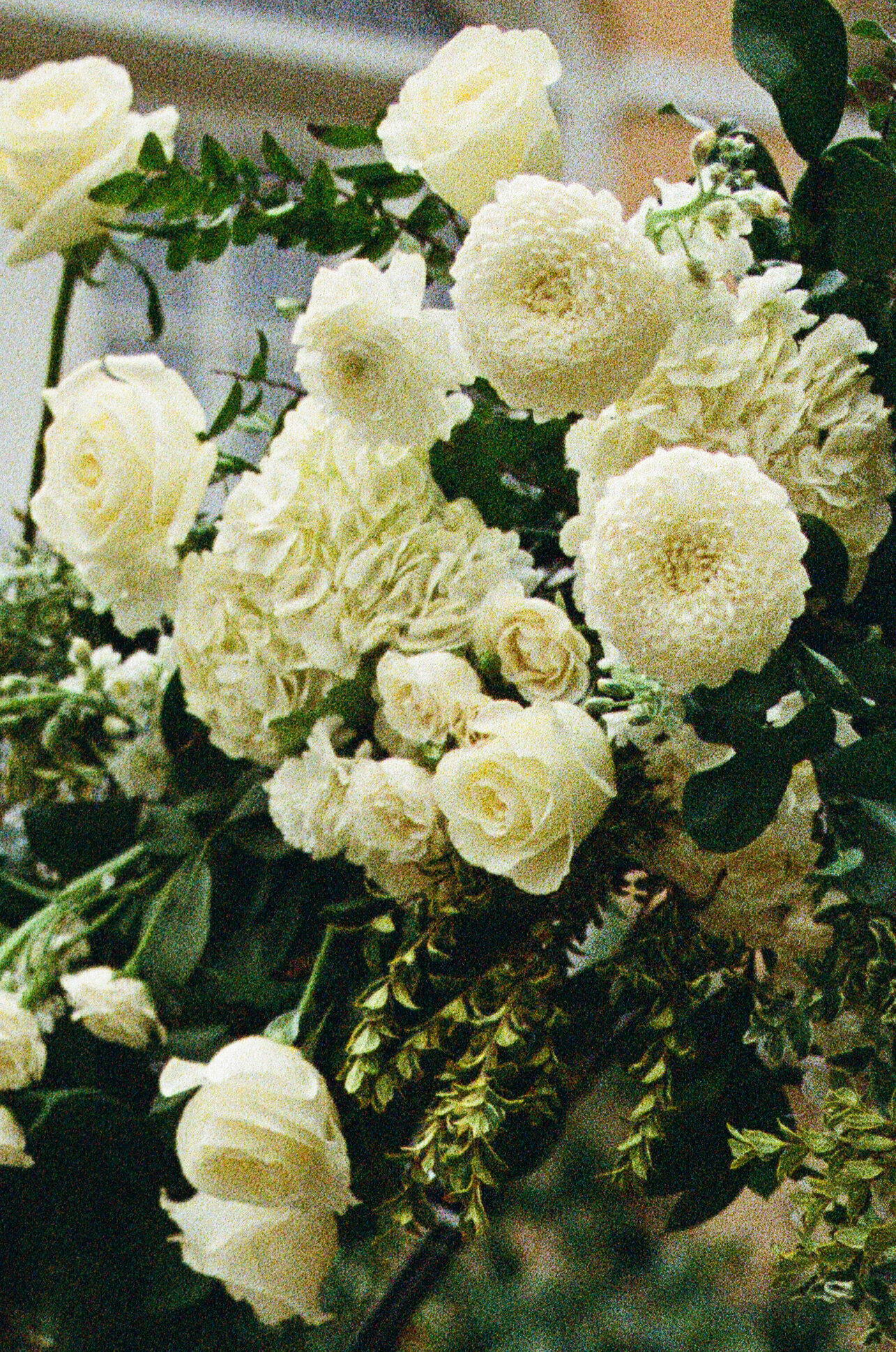 Editorial Styled Shoot 35mm Film-162