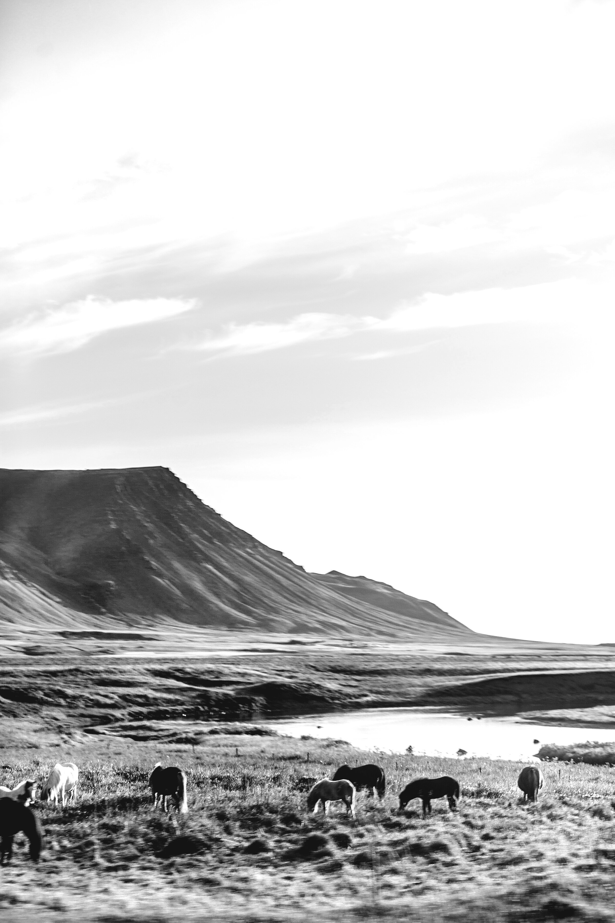 iceland444