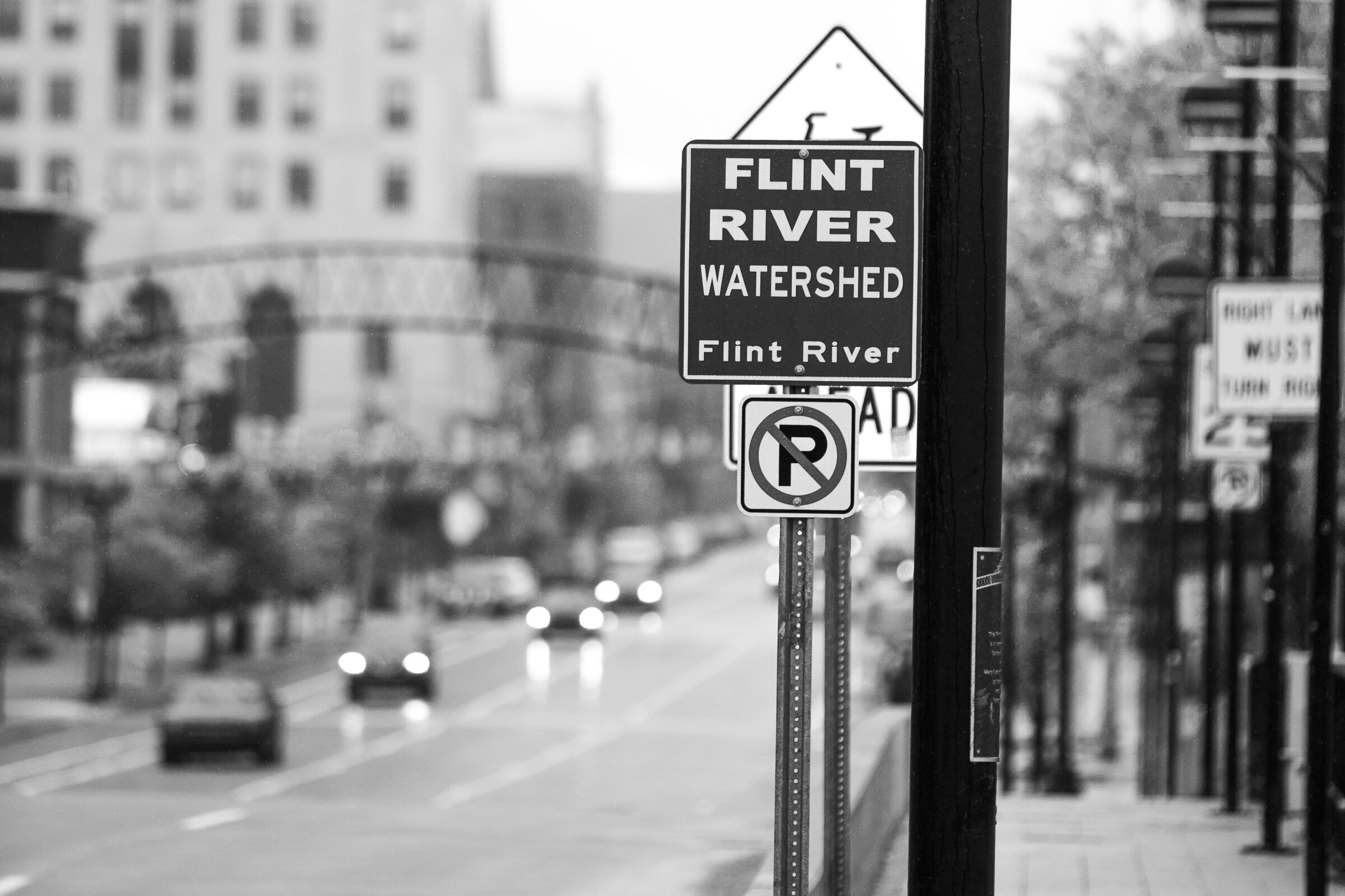flint-100