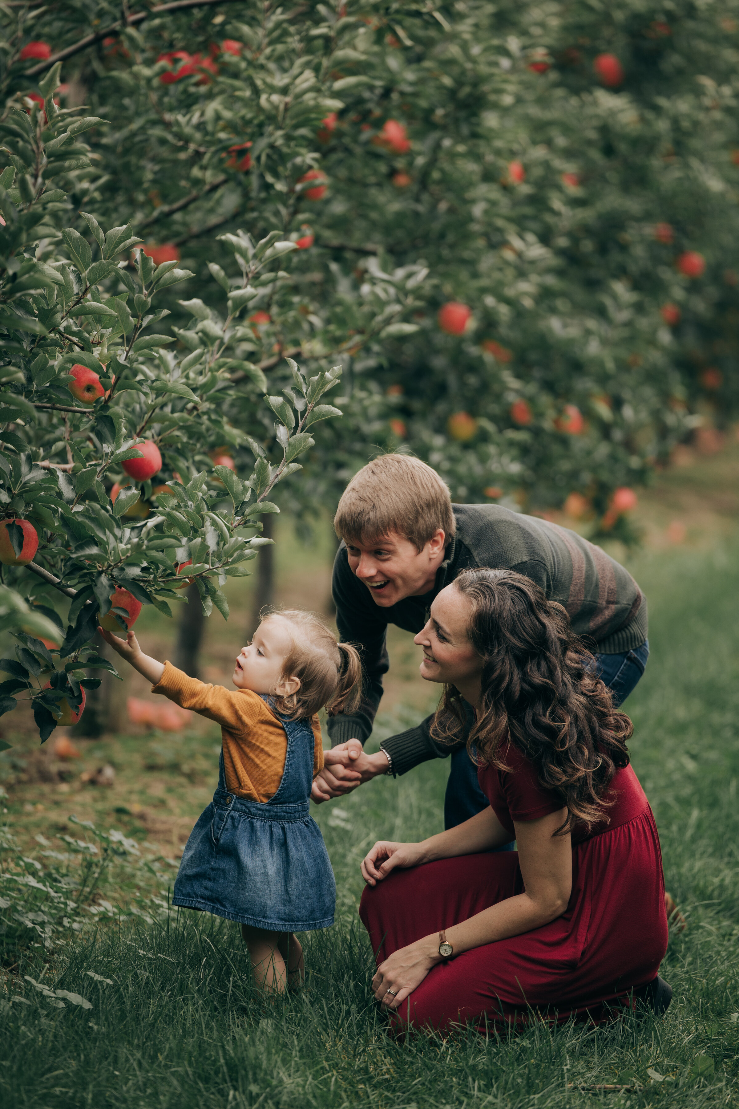 Apple Orchard Photography | London, Ontario :: NovaMarkina