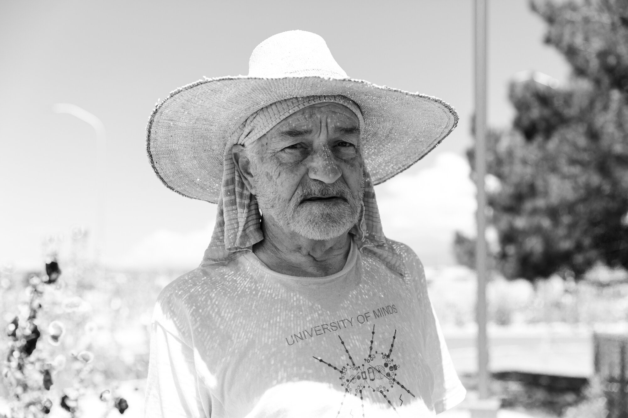 taos-5