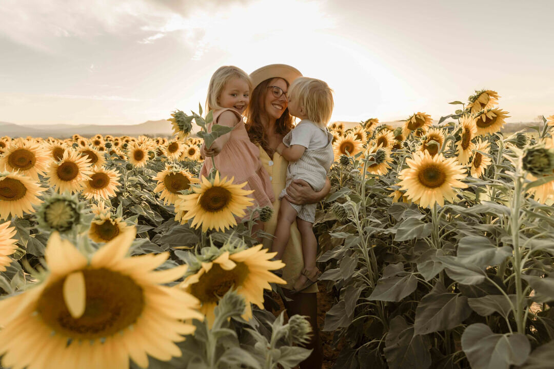 Blury Photograhy - Your sunflower photographer - springfield - brookwater - ipswich - logan - brisbane 2