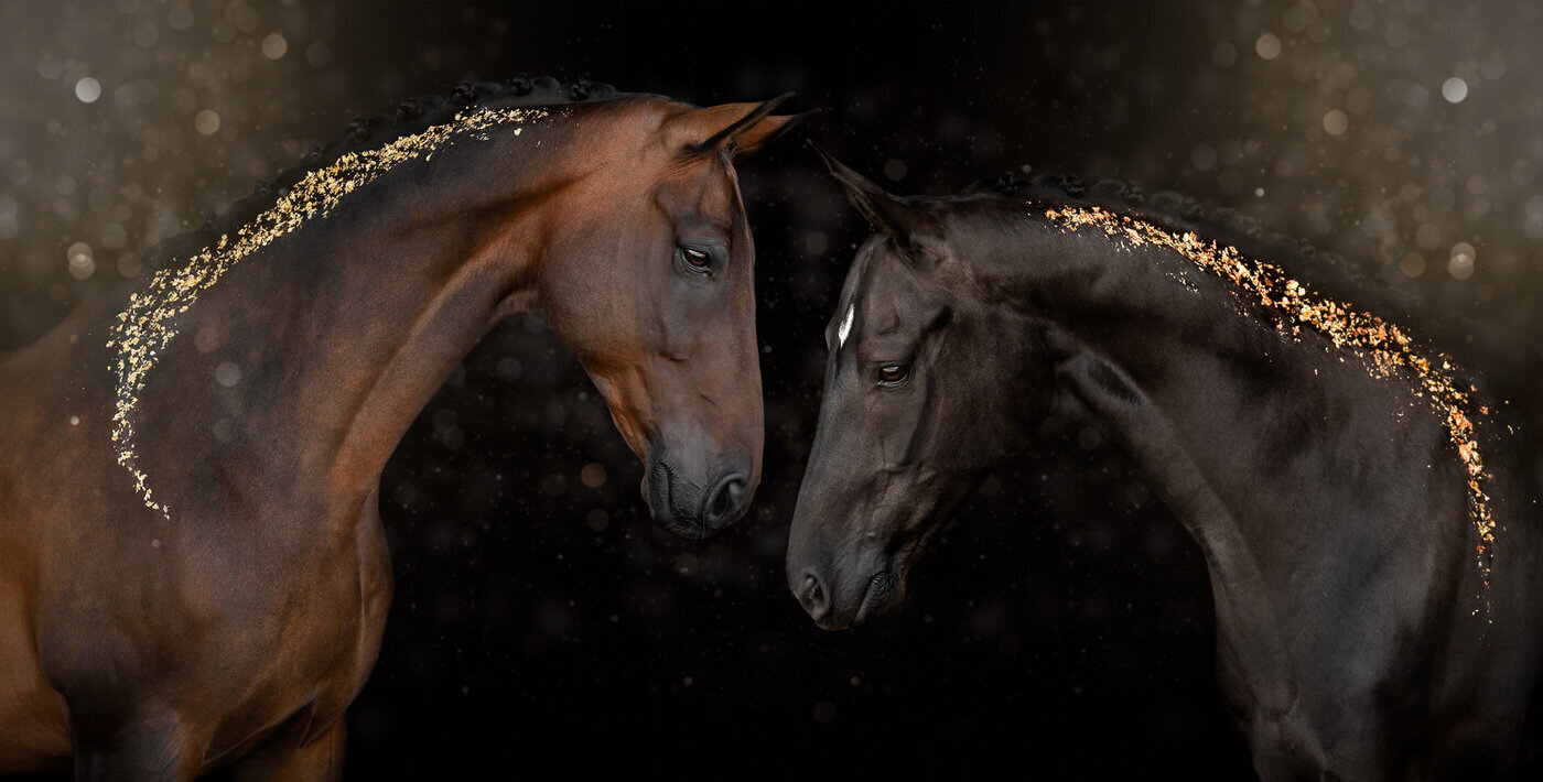 Deck The Stalls (17)