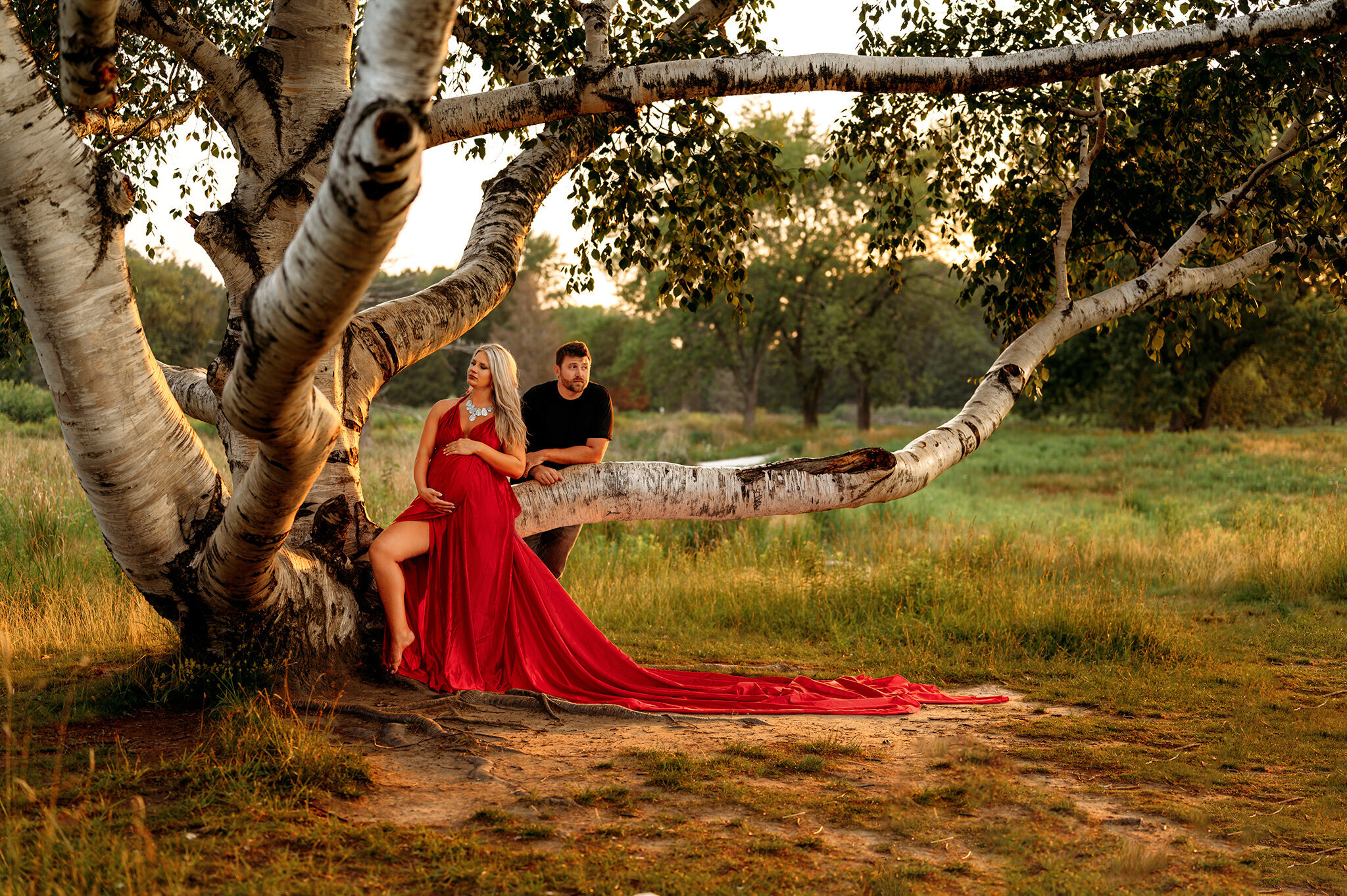 Elegant outdoor maternity photography in Grand Rapids, Michigan—A mother-to-be in a flowing red gown poses under a majestic birch tree at golden hour, creating a stunning fine art maternity portrait. Honey Wild Photography specializes in luxury maternity sessions with timeless, high-end styling